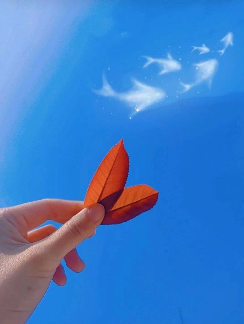 人,要有一颗干净的心. 无论相貌,无论着装,心的通透是最美的.