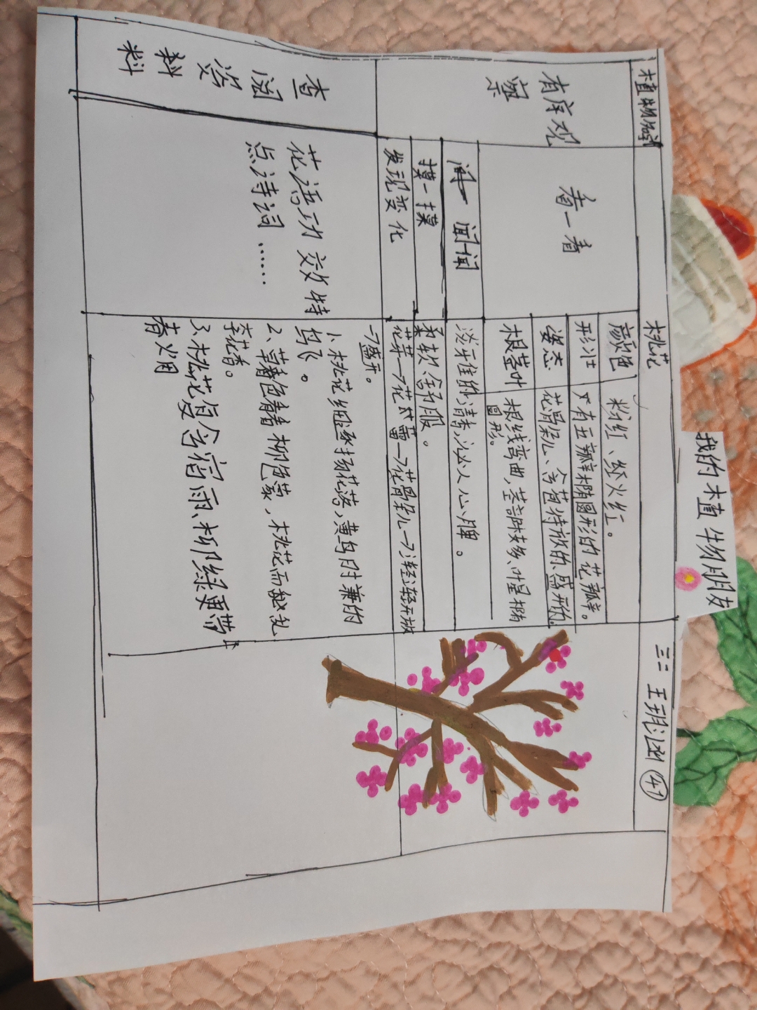 植物记录卡怎么写三年级人教版下册(植物记录卡怎么写三年级人教版下册300字)