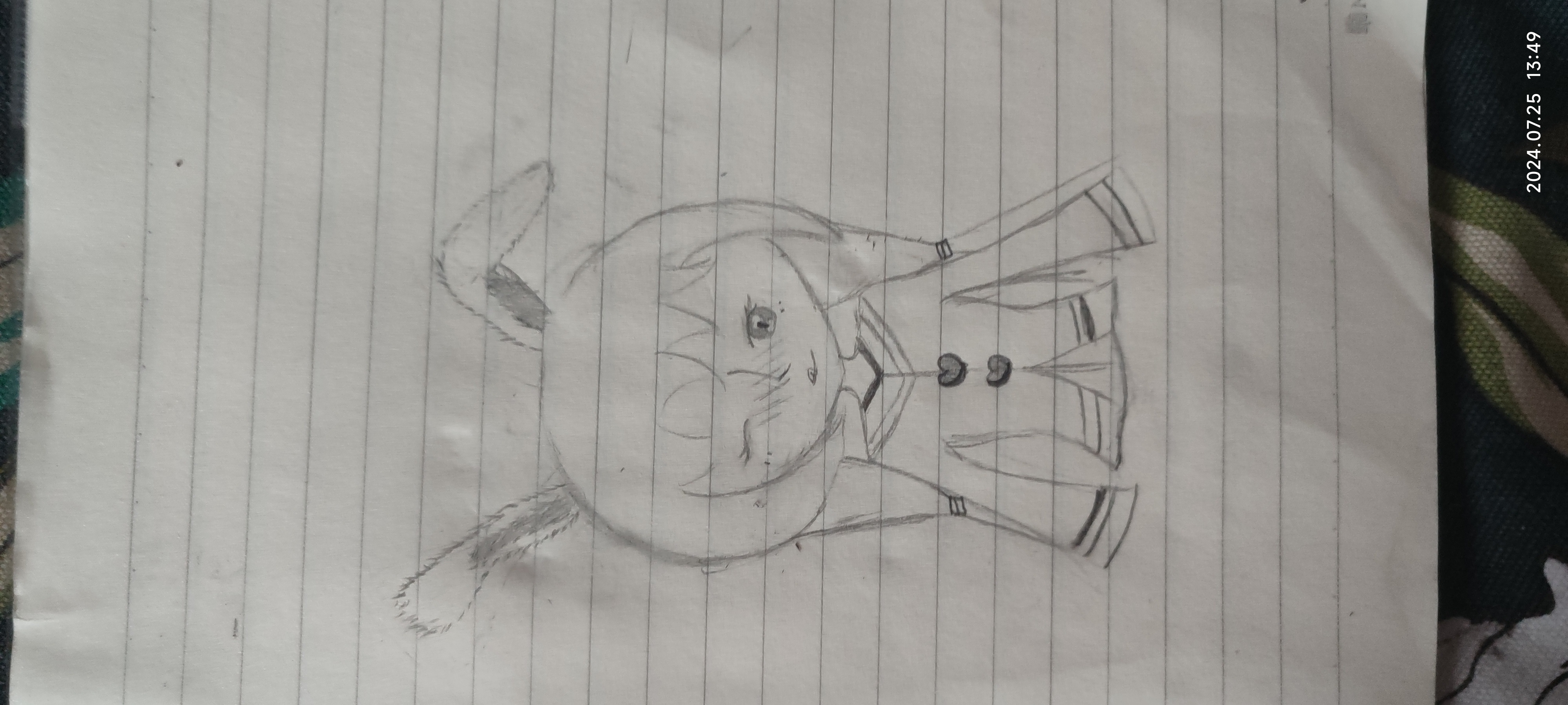 新月下的手绘,定格夏夜的梦.兔子女郎