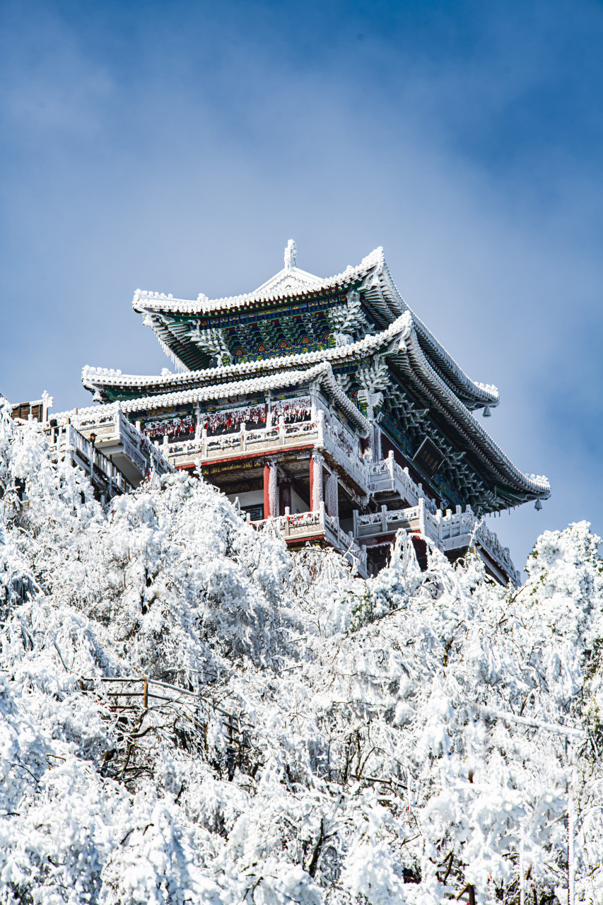 春天的老君山图片图片