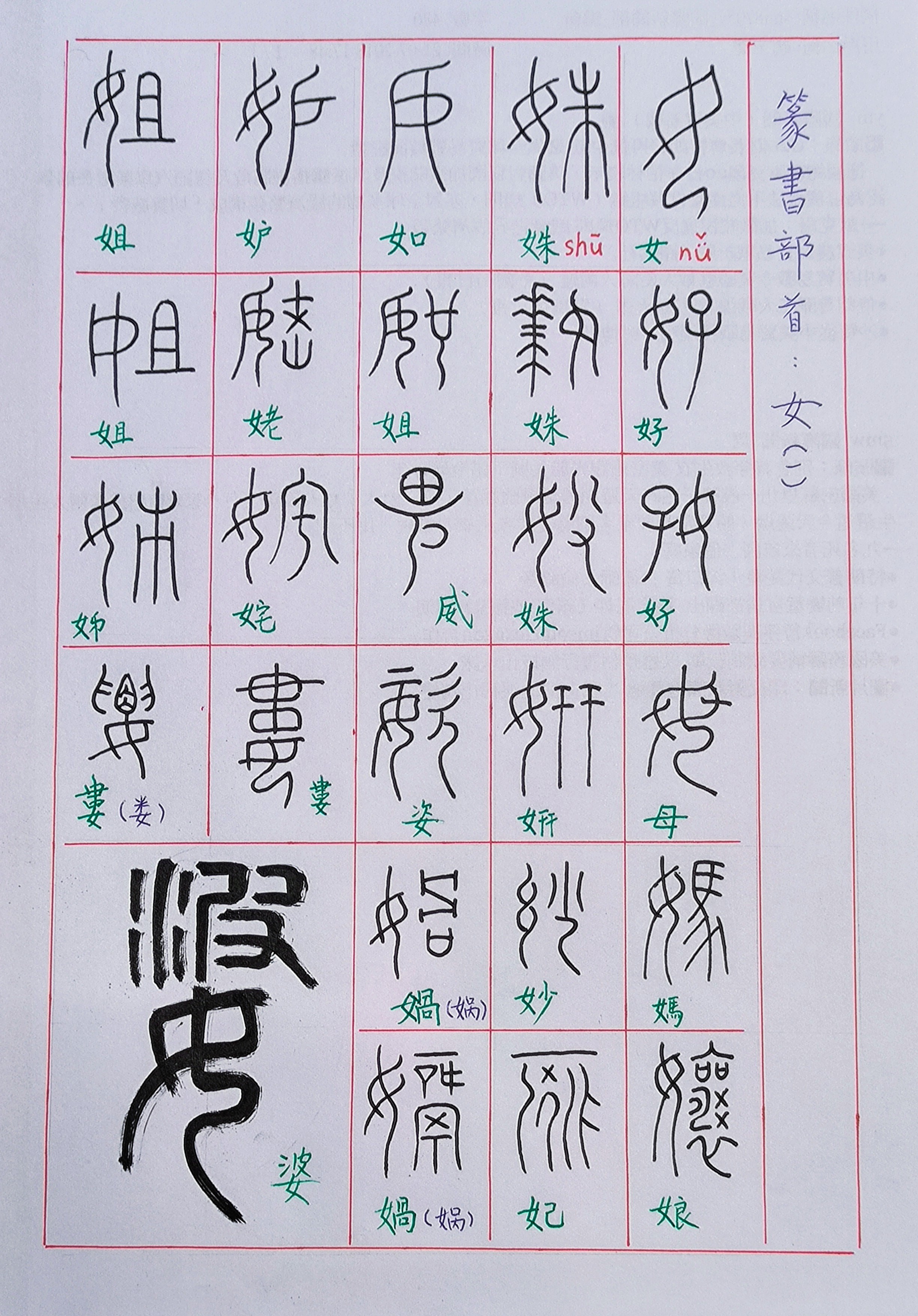 篆书(含金文)部首:女