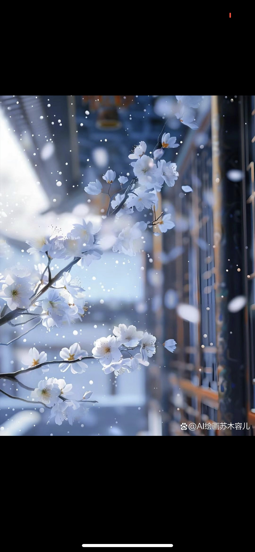 枝头垂下的,不只是白色的花朵,更有那轻盈飘落的雪花