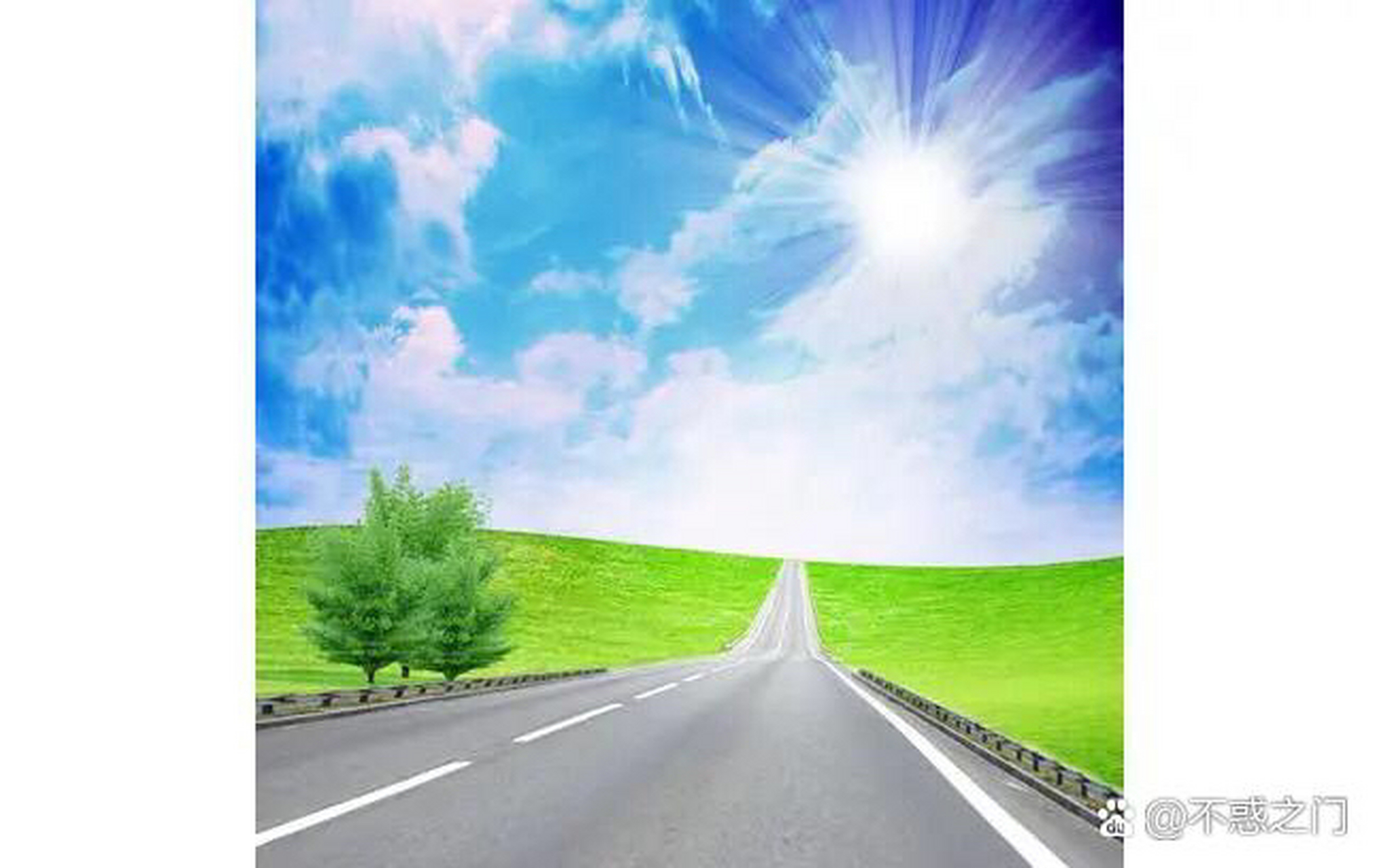 莲花  一条大道万人行  接近天边心善宁  回头远看泥泞路  朵朵莲花向