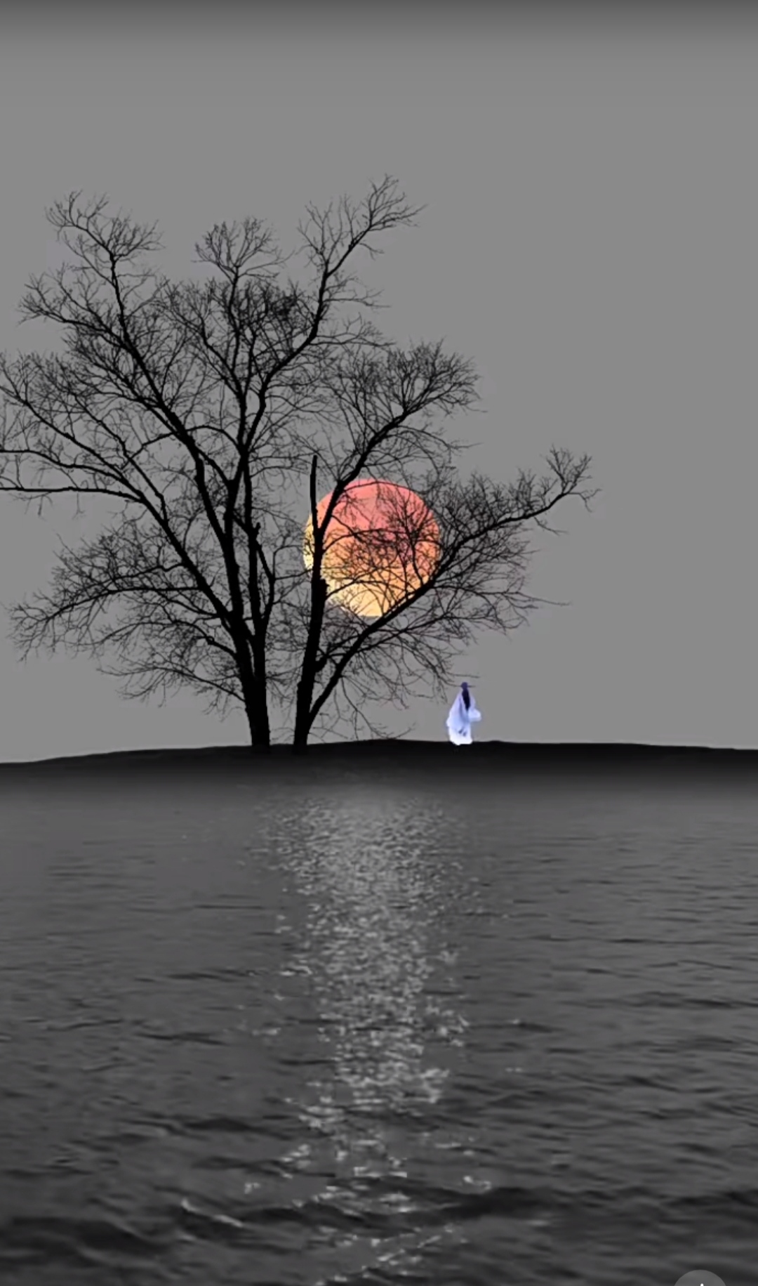 月下凝思 明月高悬照世姿,无叶老树影参差