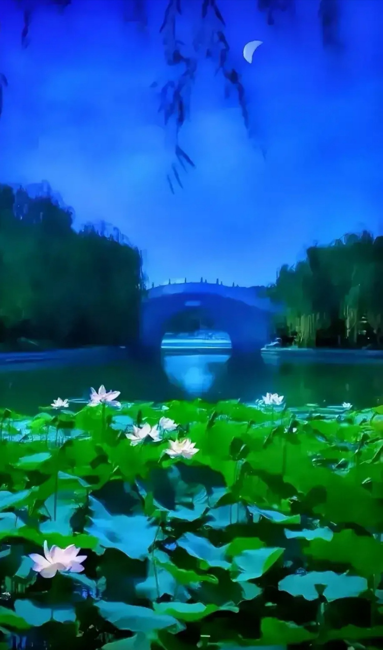 图联小筑(312): 【上联】古桥明月夜 【下联】[思考][思考] 【上联】