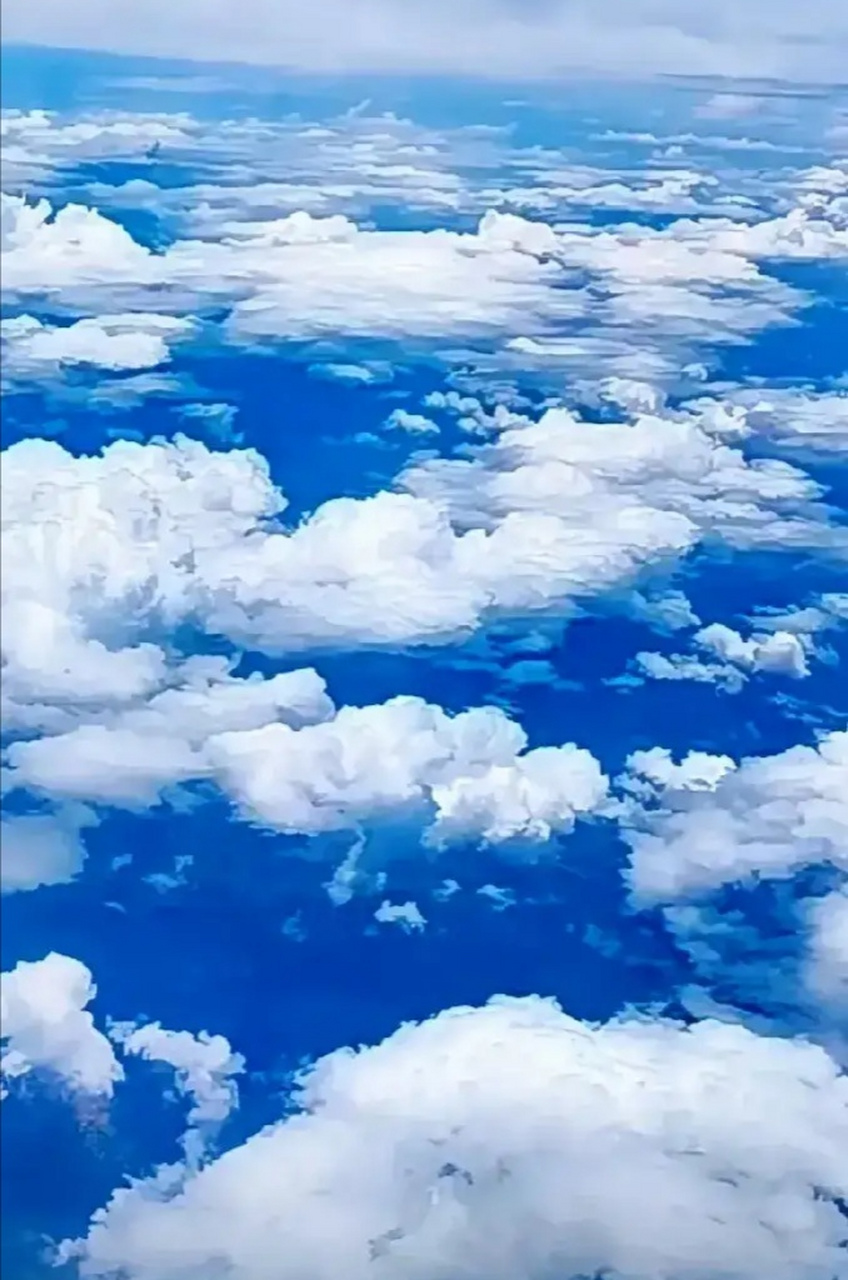 图联小筑(746): 【上联】极目青云上 【上联】扶摇云海鲲鹏志 {今日