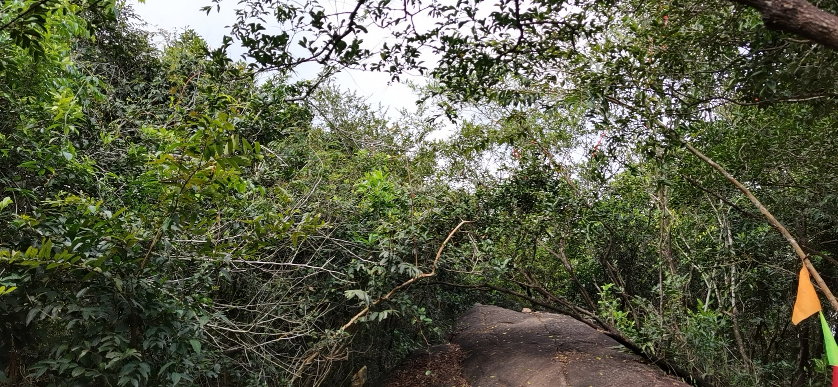 澄迈济公山风景区图片