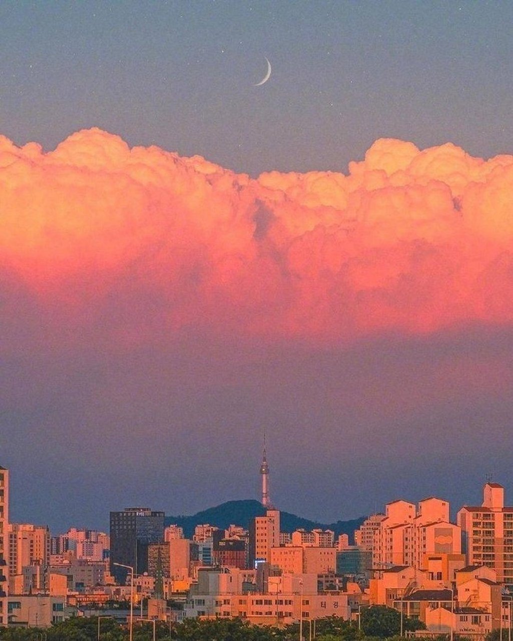 电影《天下无双》中有句台词,着实让人感动:"所谓深情挚爱,就是你中有