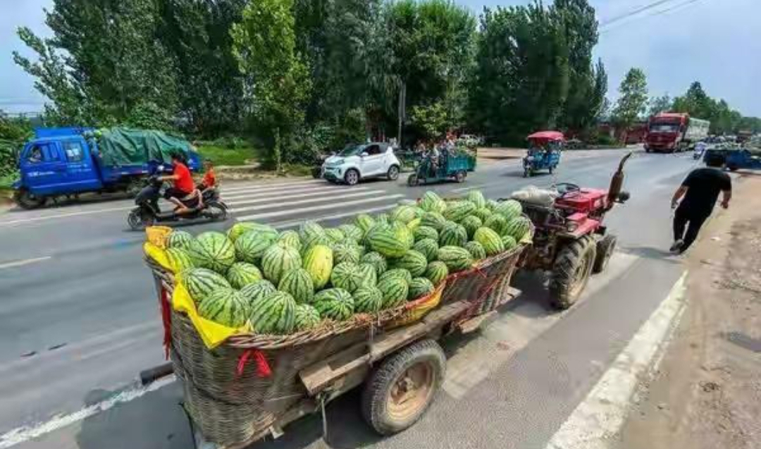 一车西瓜一车西瓜图片手拉车拉着西瓜图拖拉机拉西瓜图片真实照片一