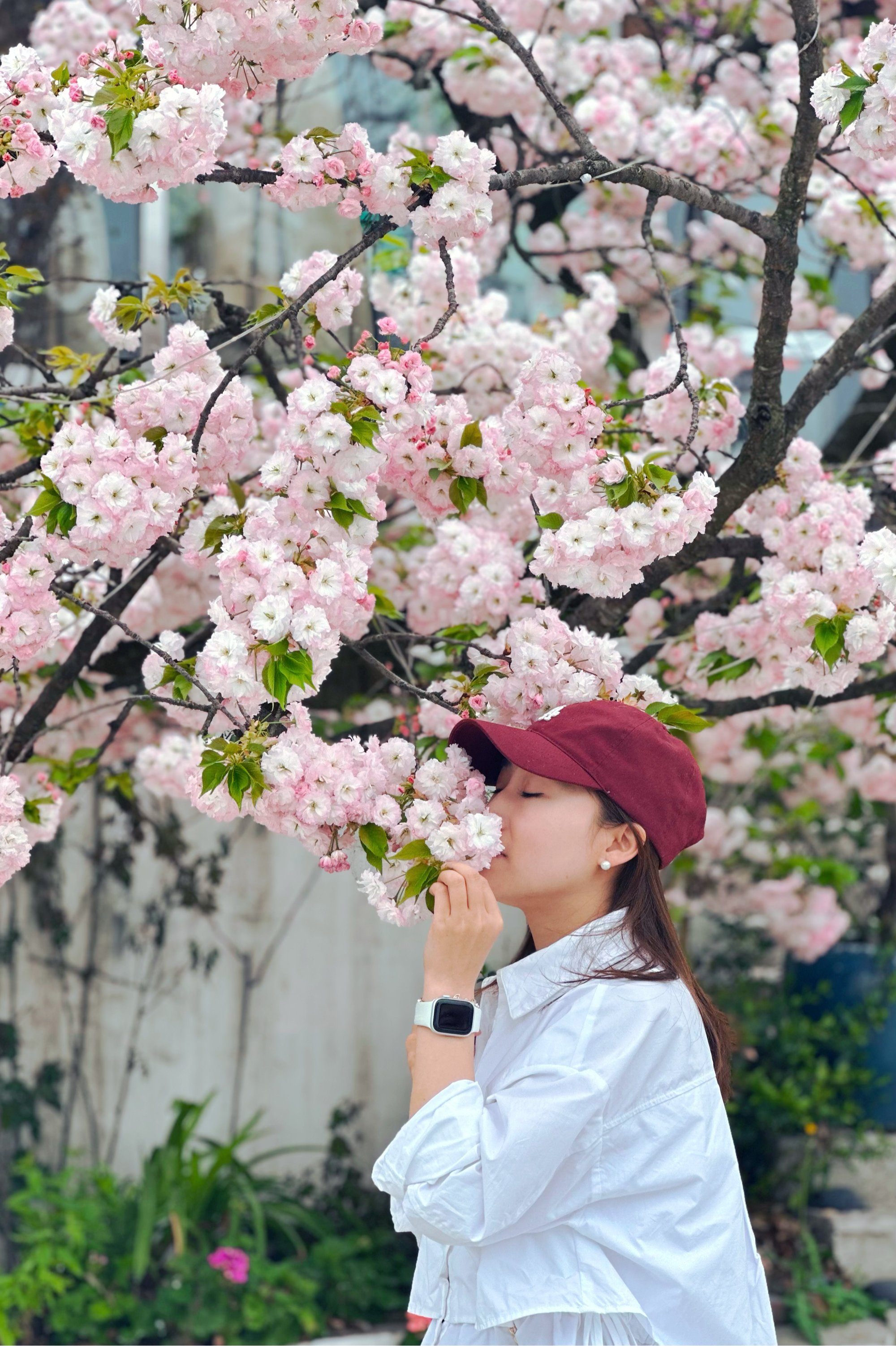 美女赏花 春天图片