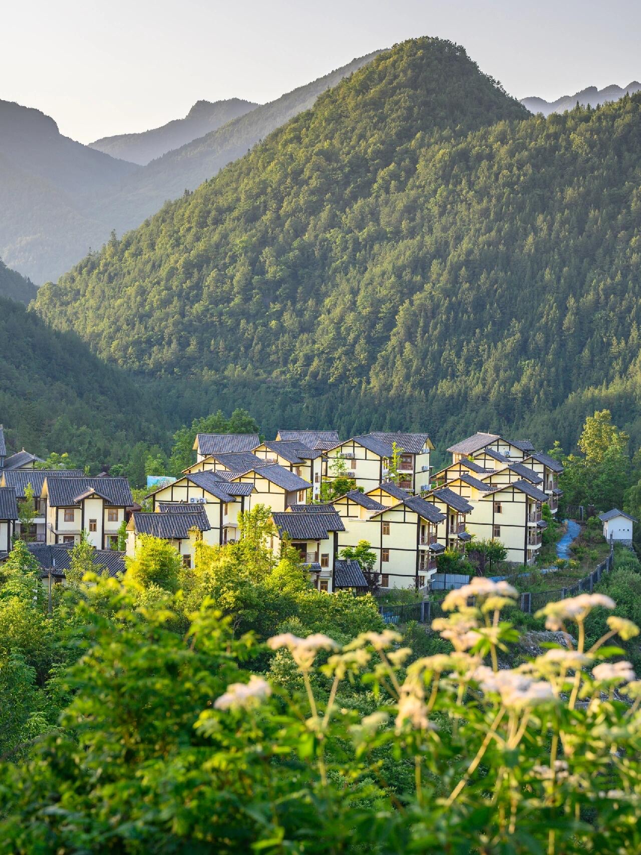 巴南芷山谷里图片图片