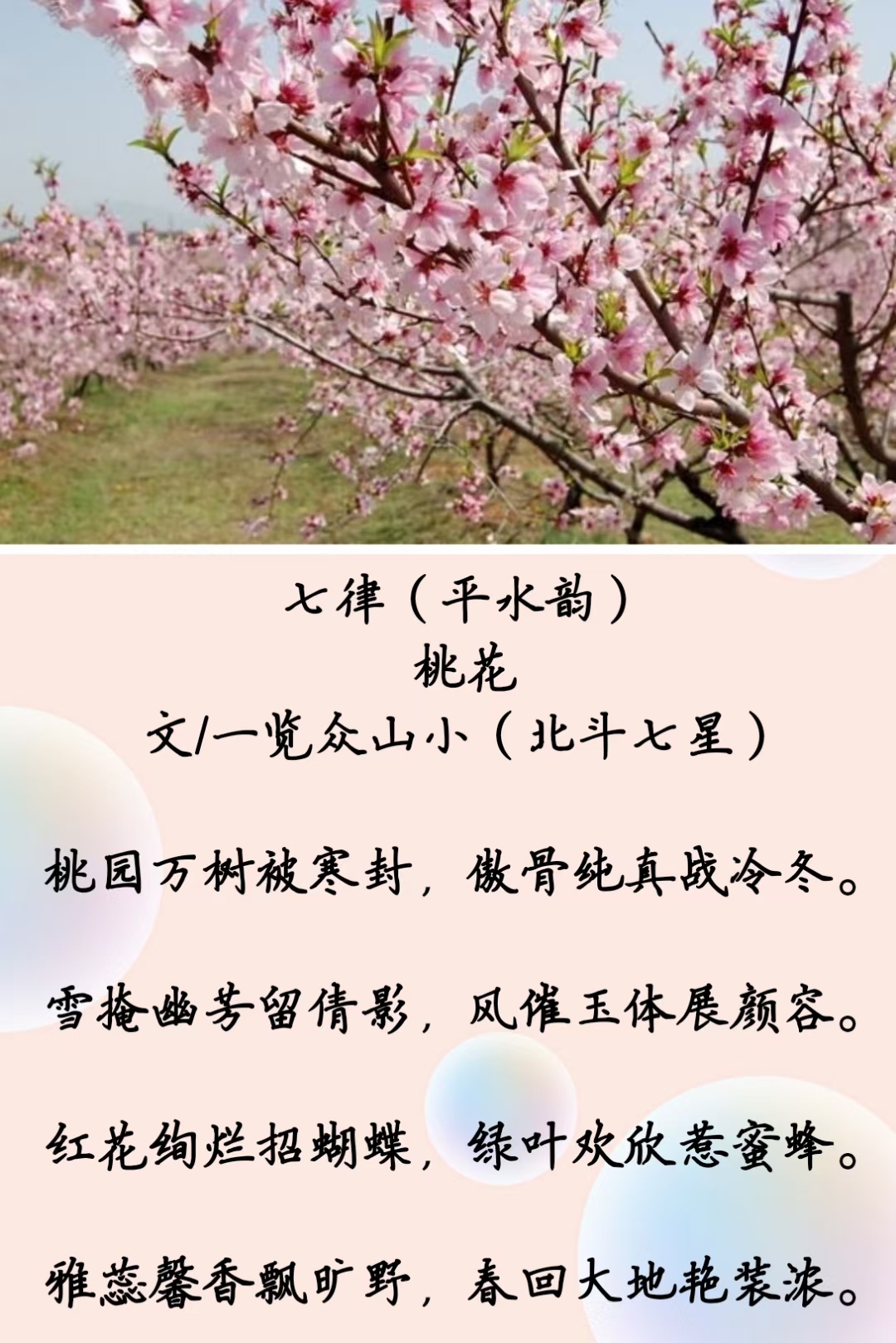 桃花 文/一览众山小