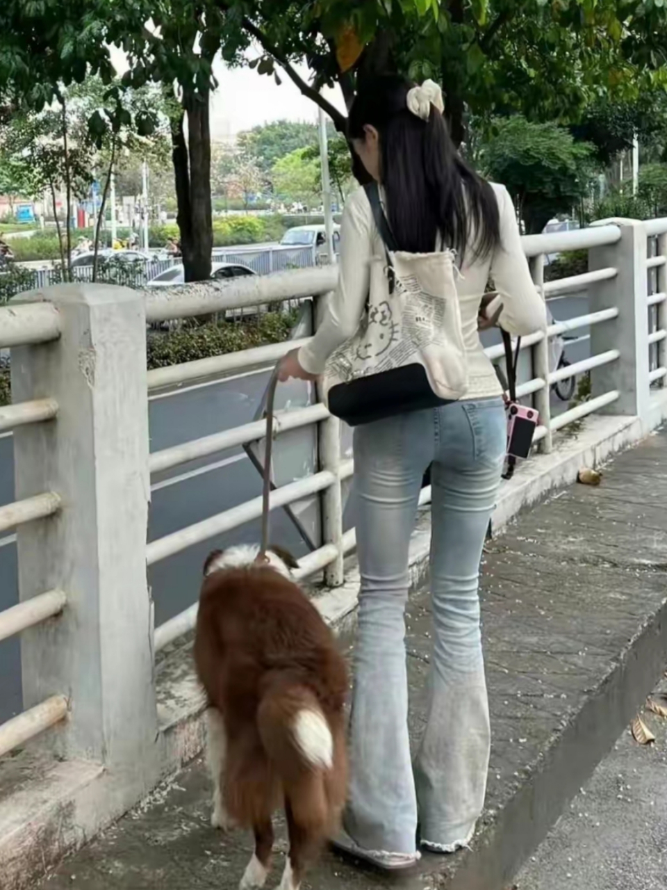 不懂就问,遇到牵狗的美女时应该注意些什么?