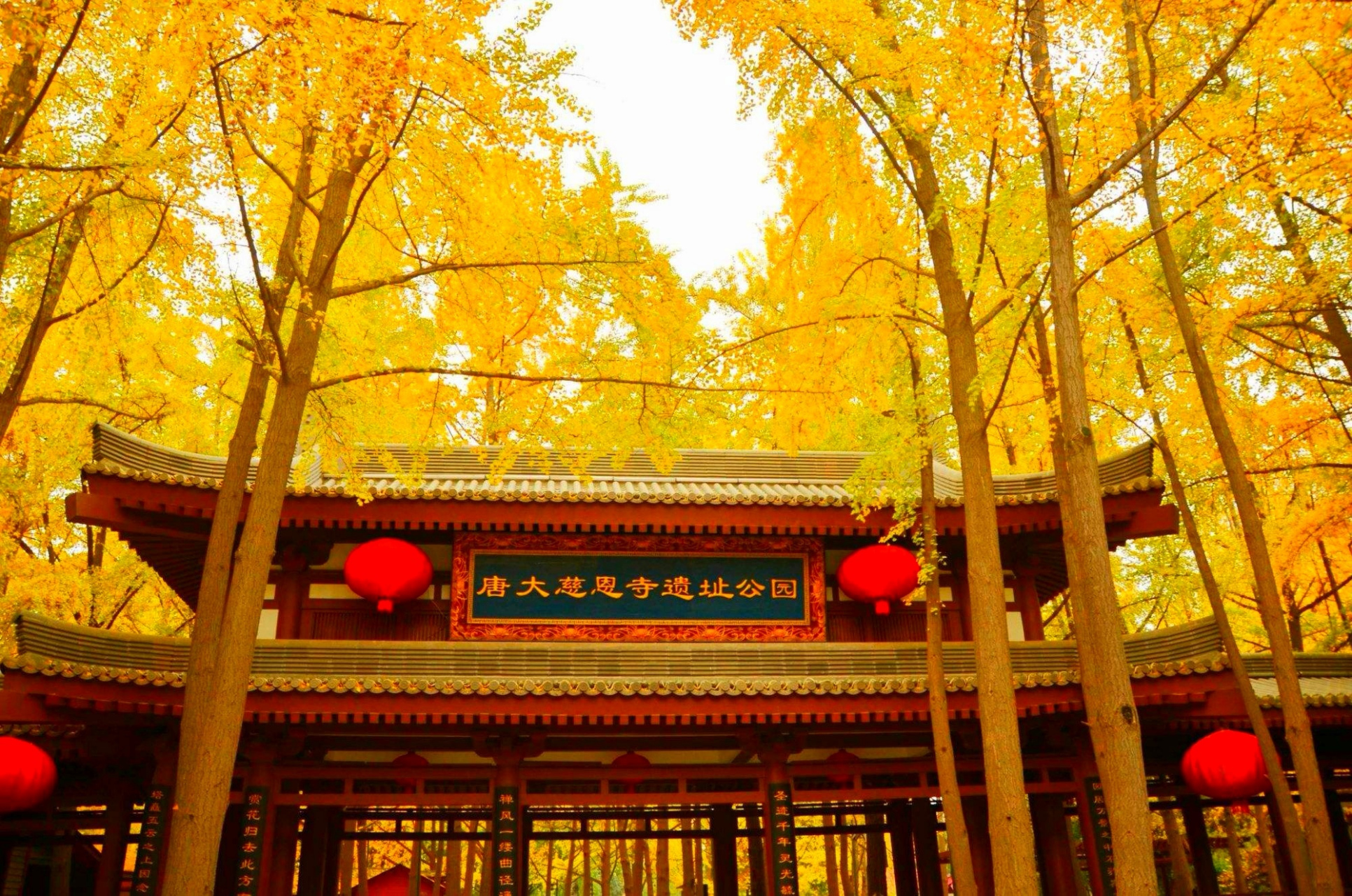 【原创诗歌】 品度平凡 ——谒大雁塔慈恩寺 作者:林永望  丝路的风