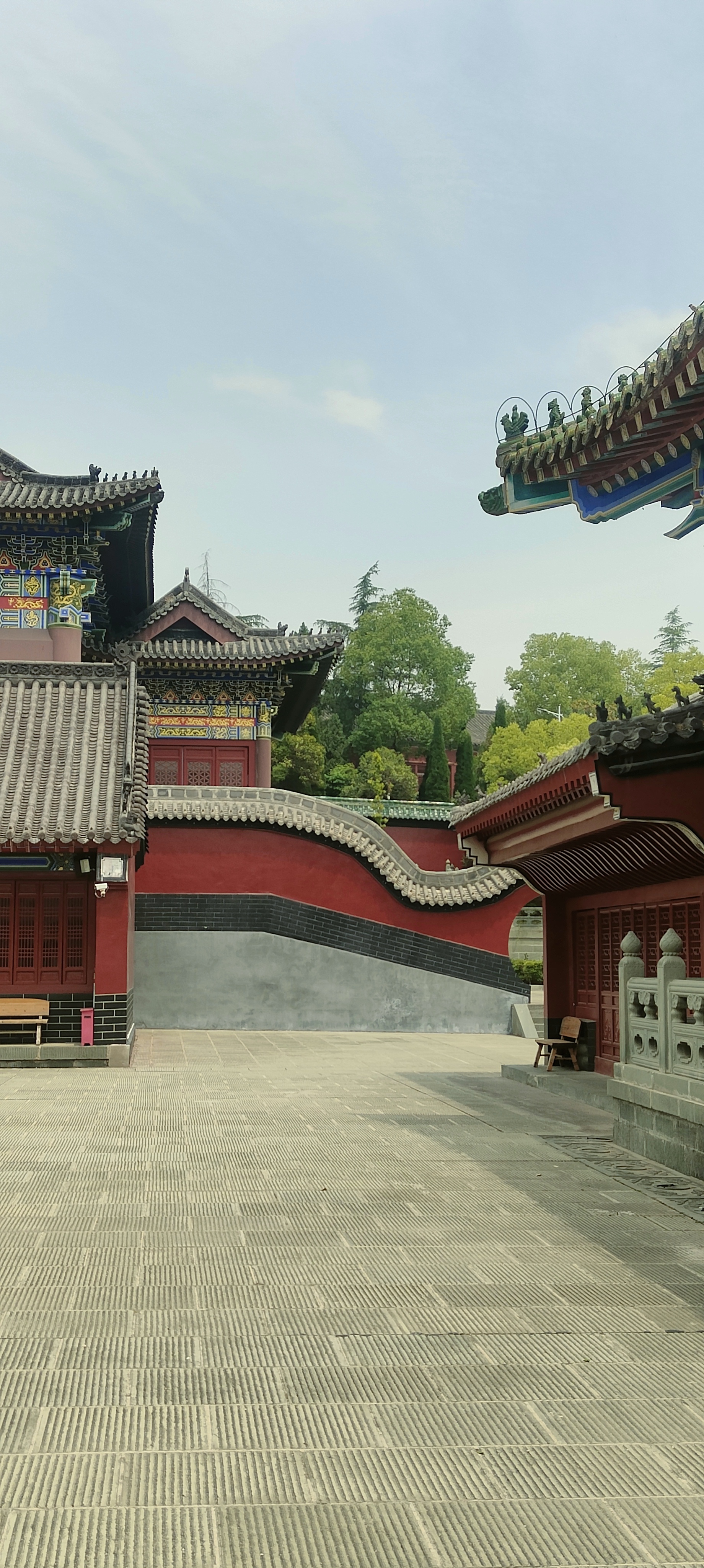 年轻时总把生活看作铁板一块