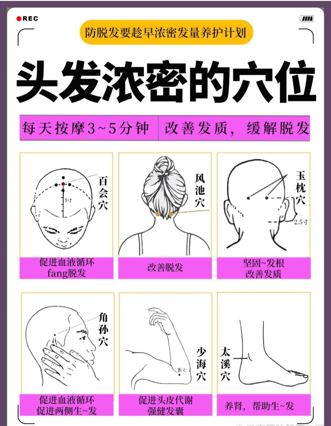 特别是头顶的百会穴,经常按摩可以刺激毛囊生长,增加发量.