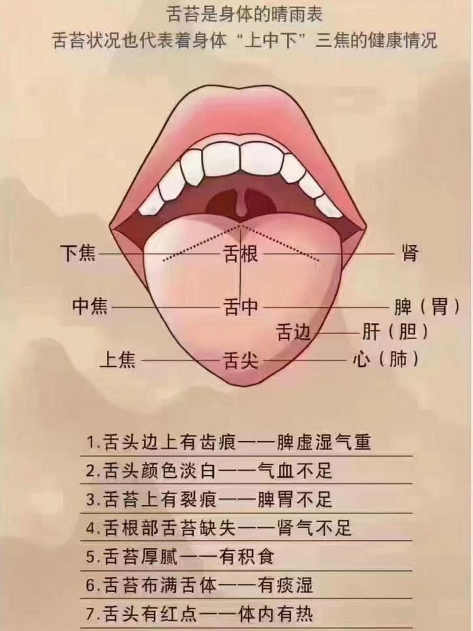 中医看病,医生都会说伸出舌头看看,没错,舌诊是中医四诊之首