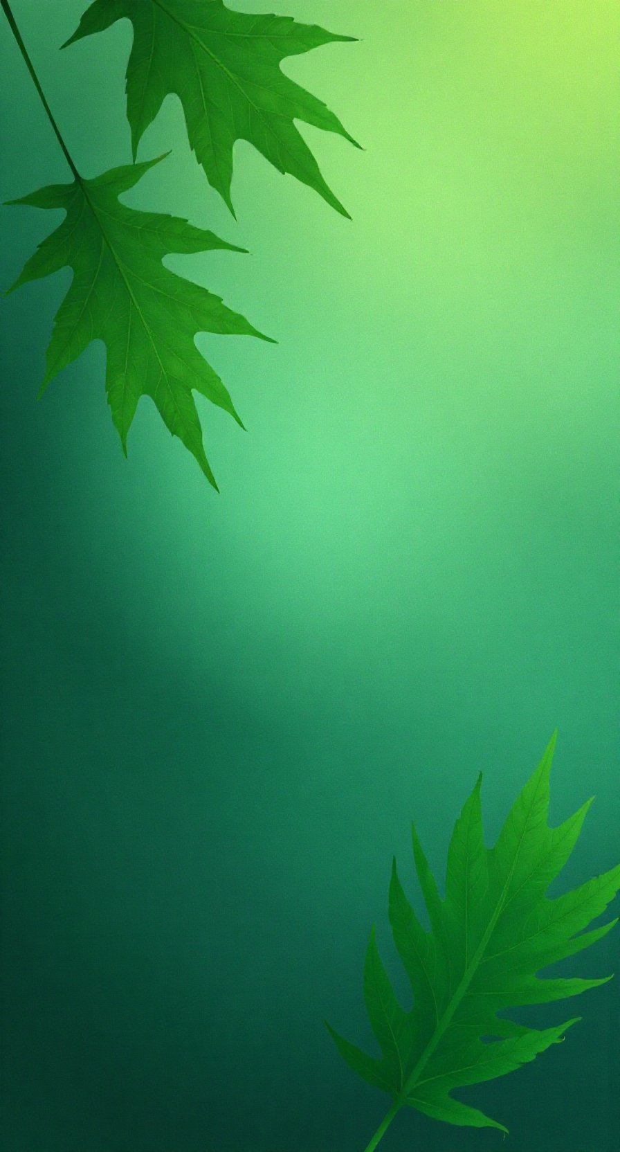 治愈系绿色护眼壁纸#动态连更挑战