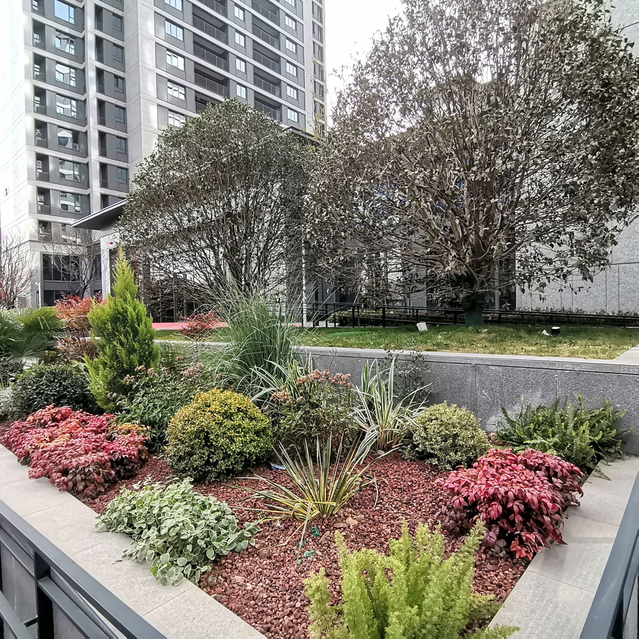 土壤肥沃:冬季花境的土壤要肥沃,有利于植物的生长.