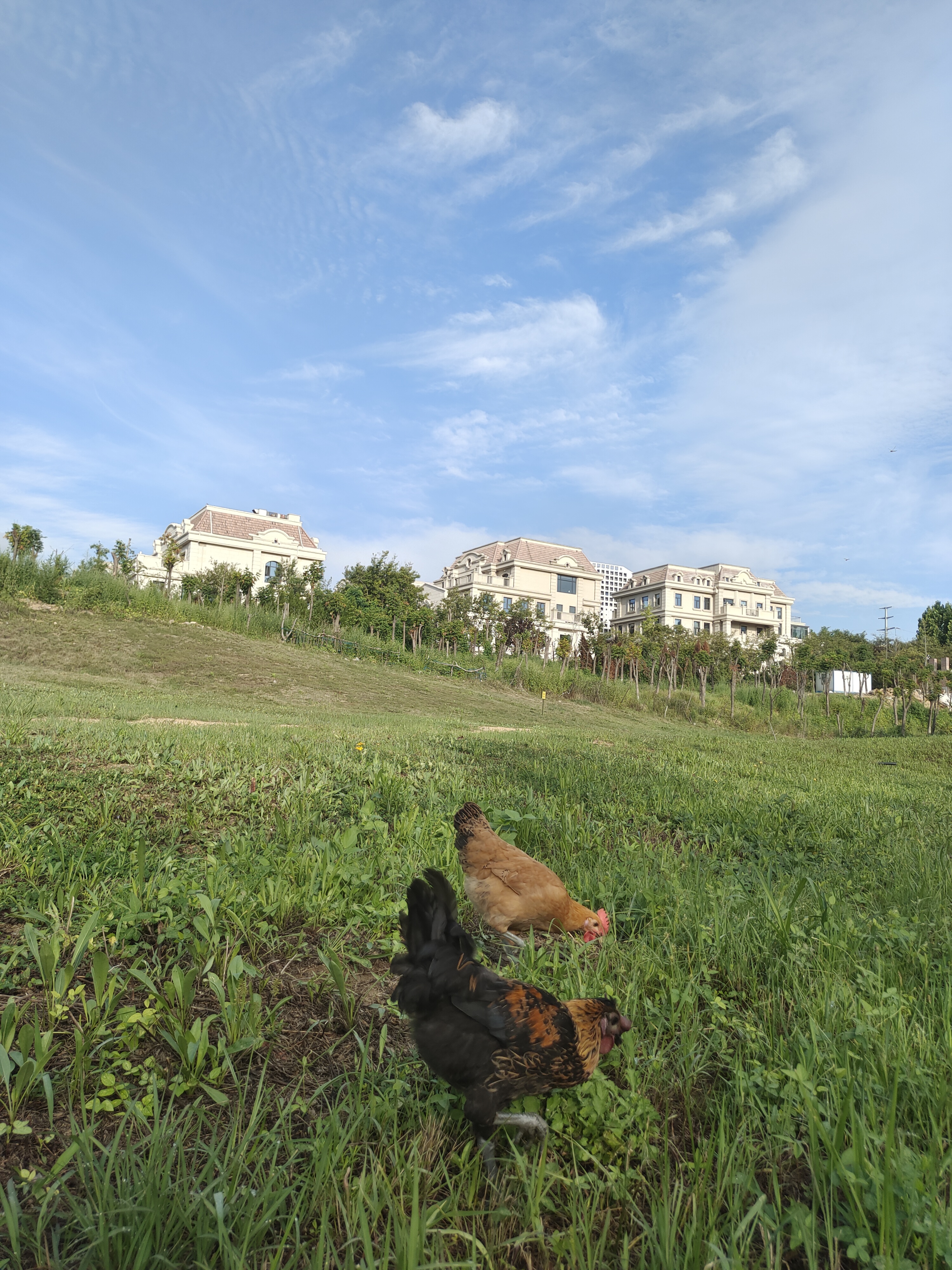 给它一个笼子,一个框架,要求它按照规则去做:不许