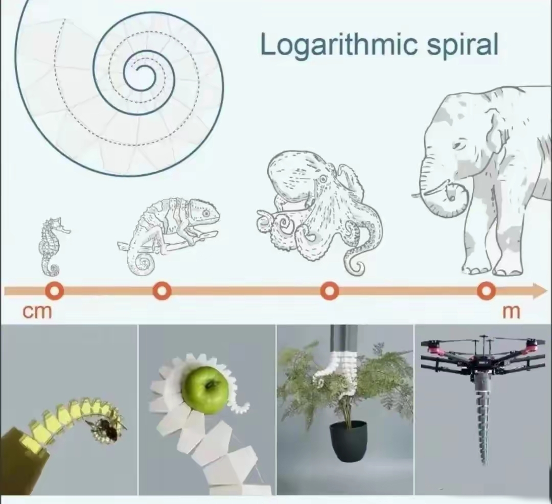 中科大"章鱼"触手机器人:开启软体机器人新时代?