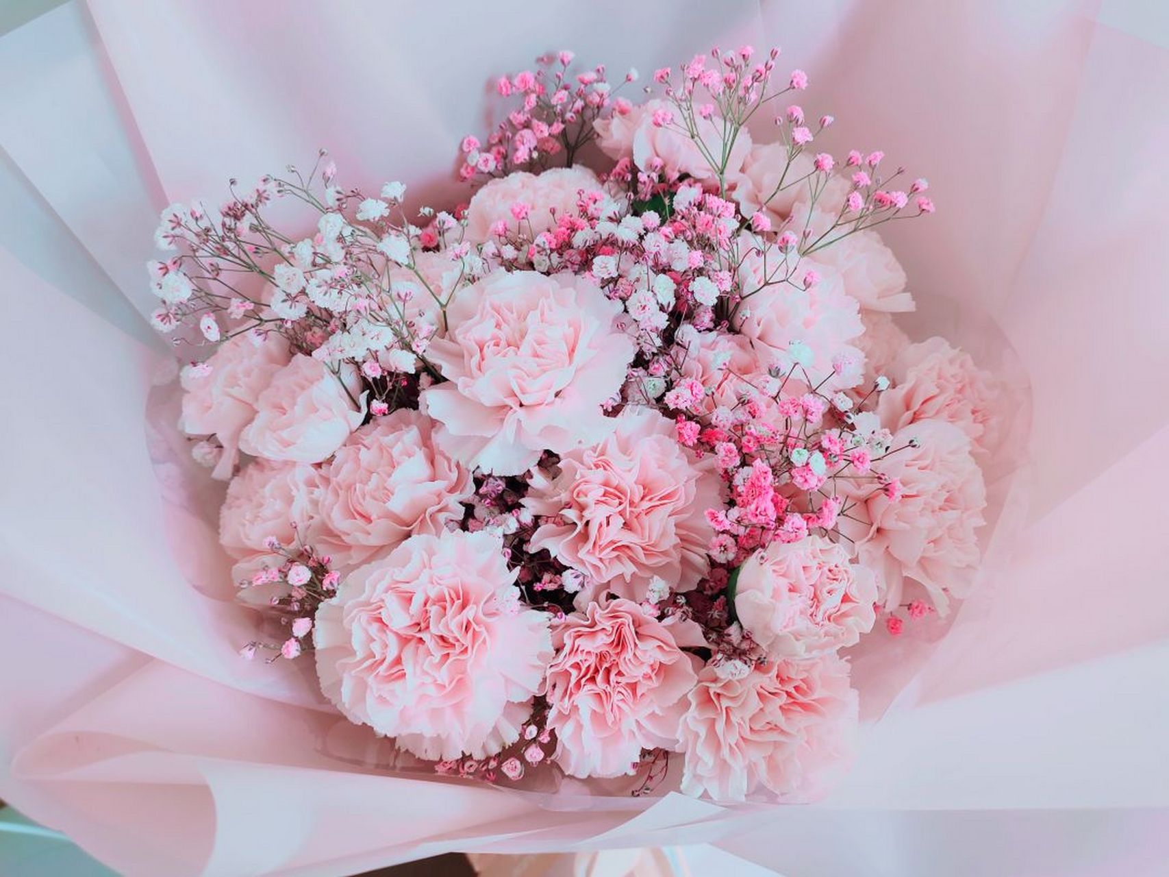 动态贡献者奖励计划#今天朋友圈好多给妈妈买花的,而我,只敢默默的转