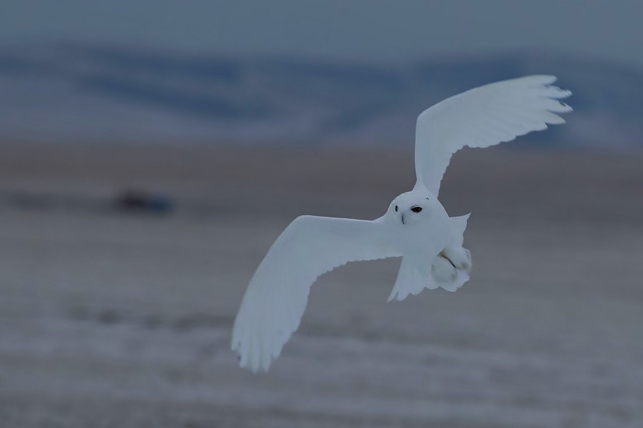 天高路远，天高路远讲的什么