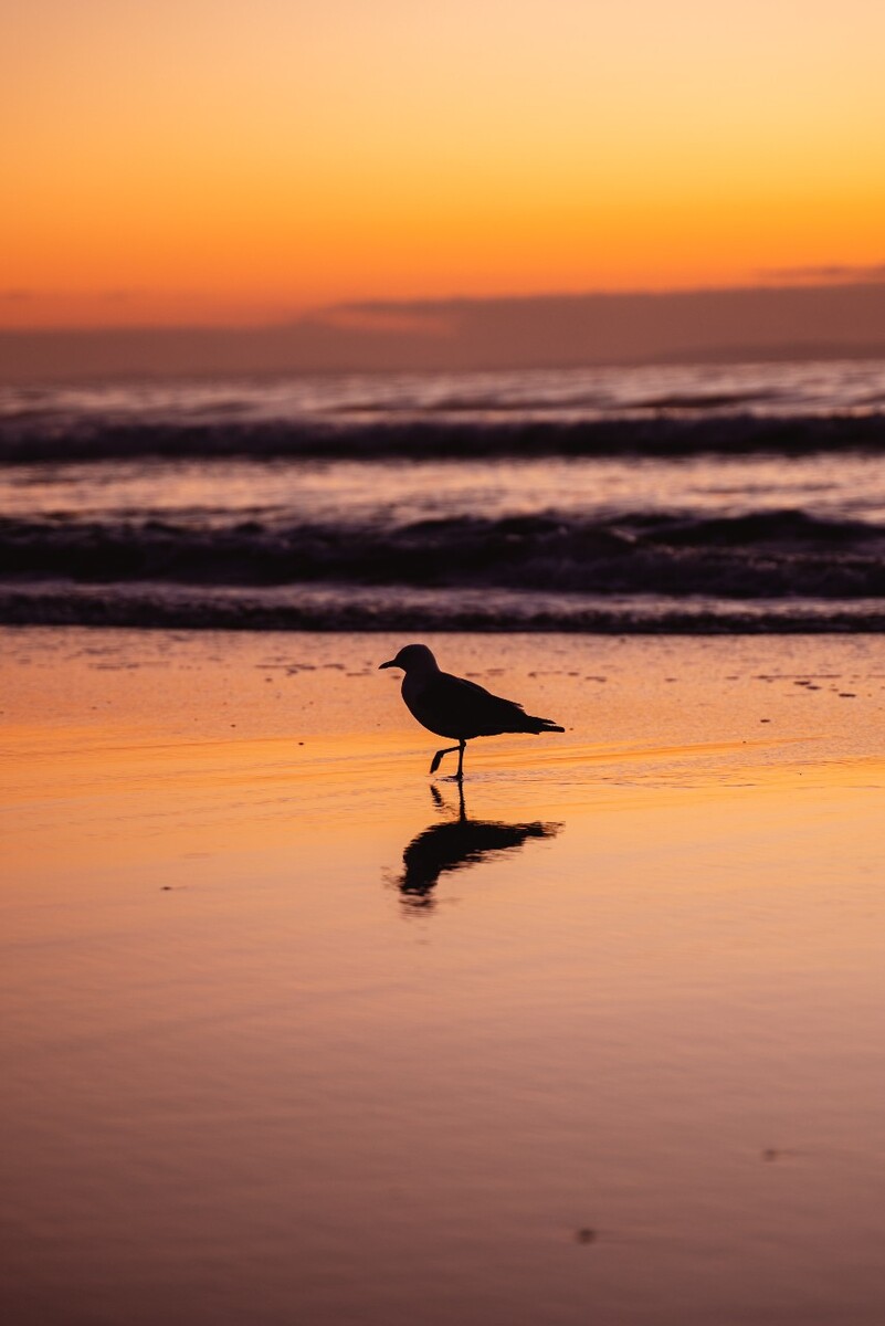 夕阳下的海滩