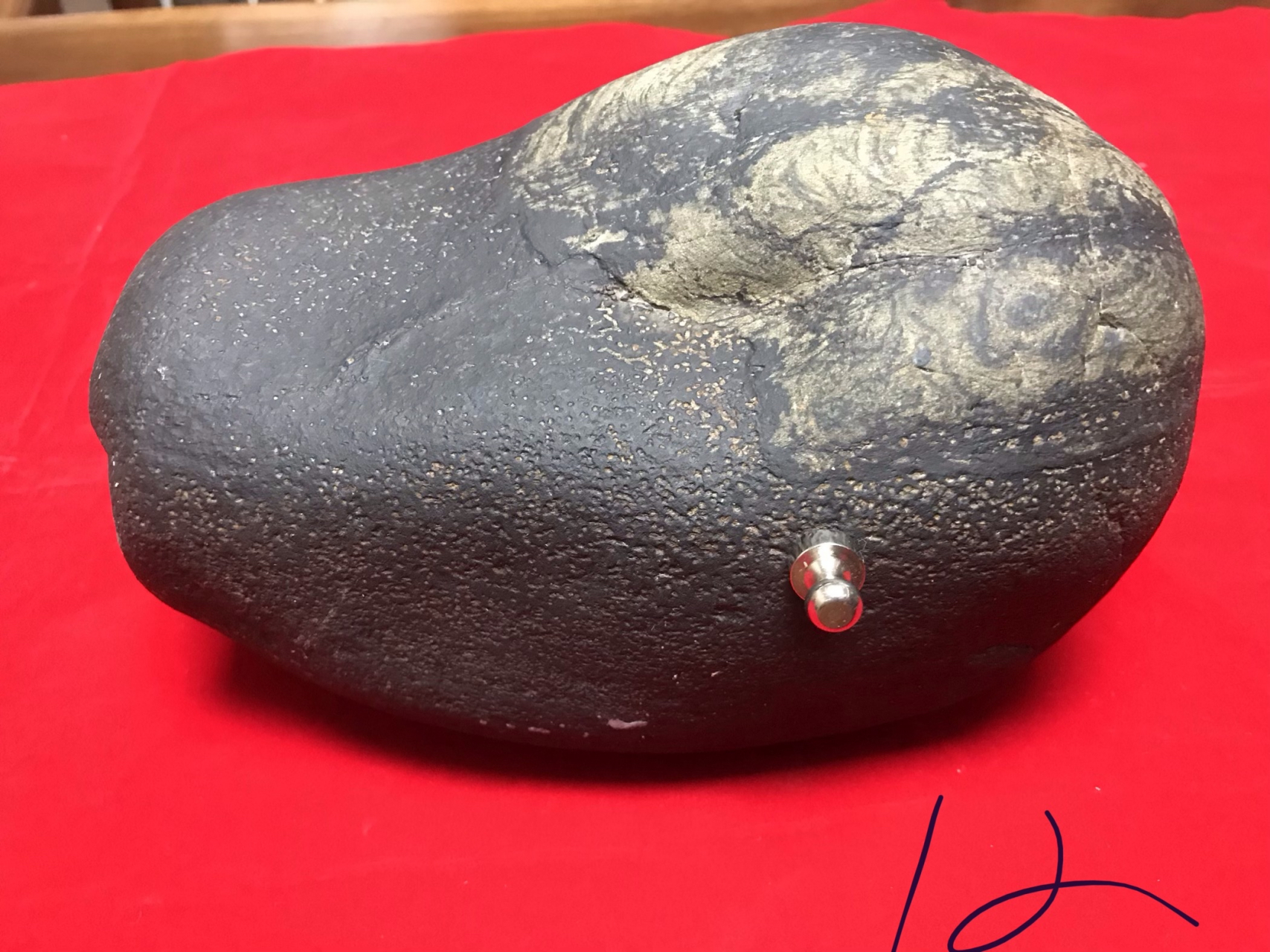 石铁龙鳞陨石,12斤,中磁,发现于广西钟山.