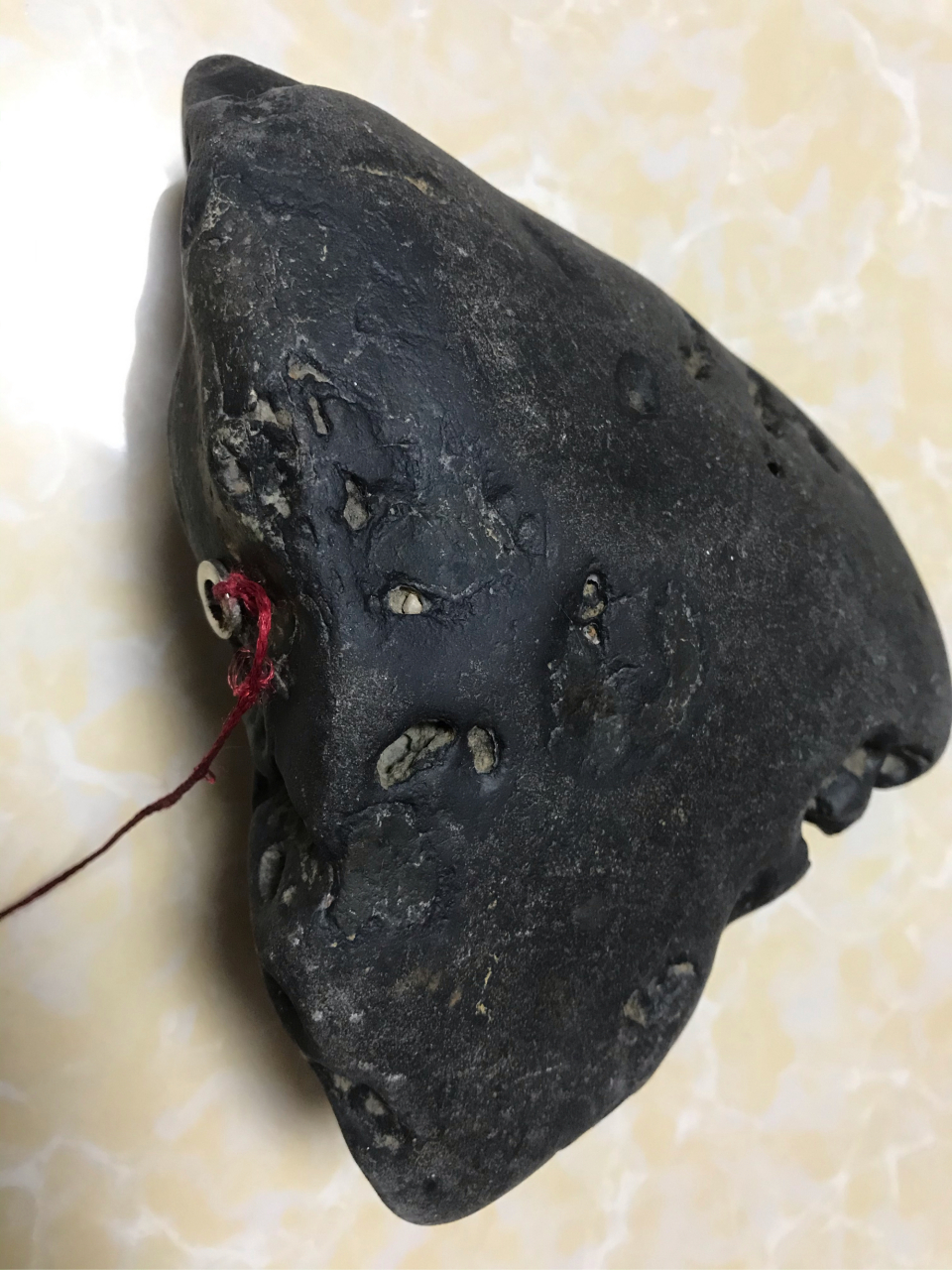 疑似黑宝绿石陨石,弱磁,外表特征明显.