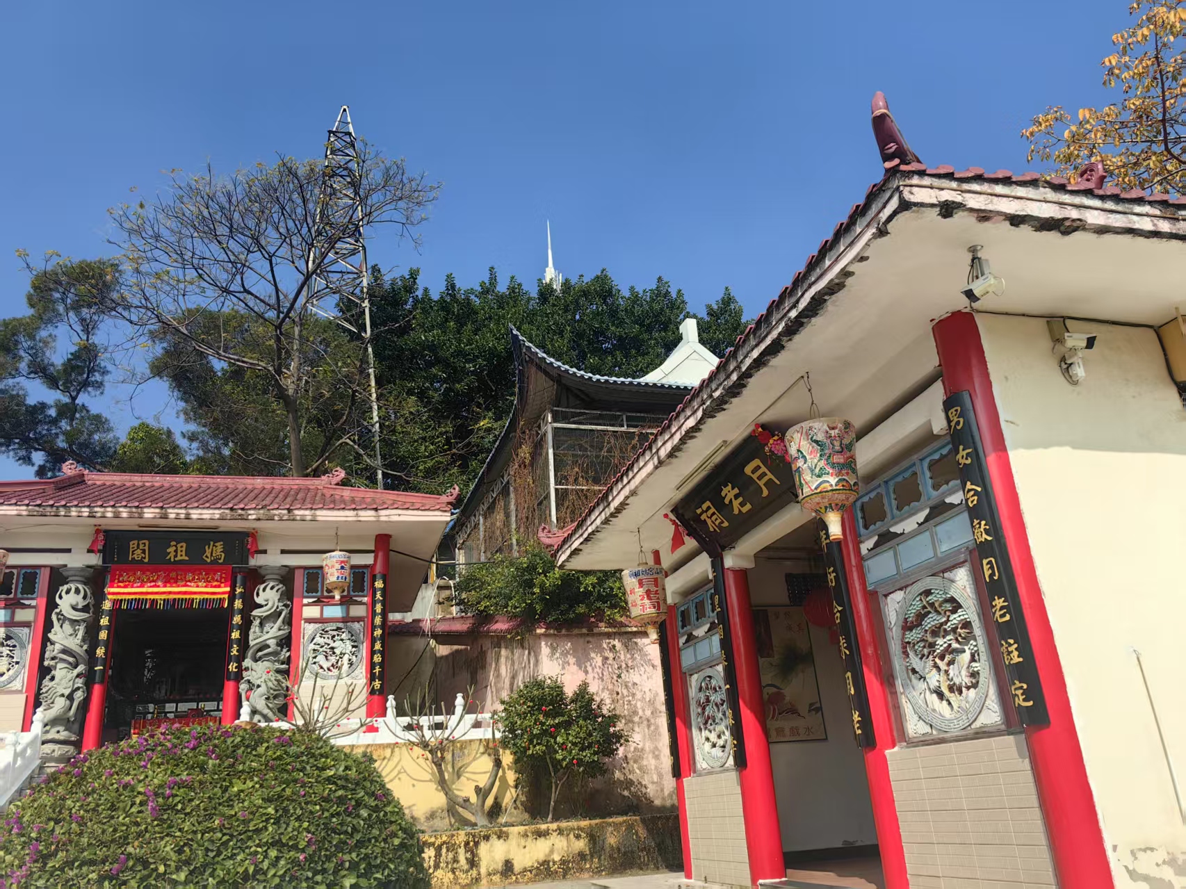 月老红绳缚定缘定今生#情感微语录# #我的蛇年这样过# 莆田月老祠祈福