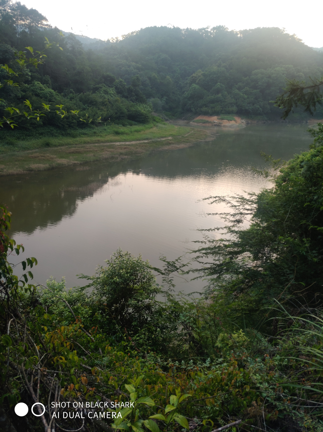 利水水库林区