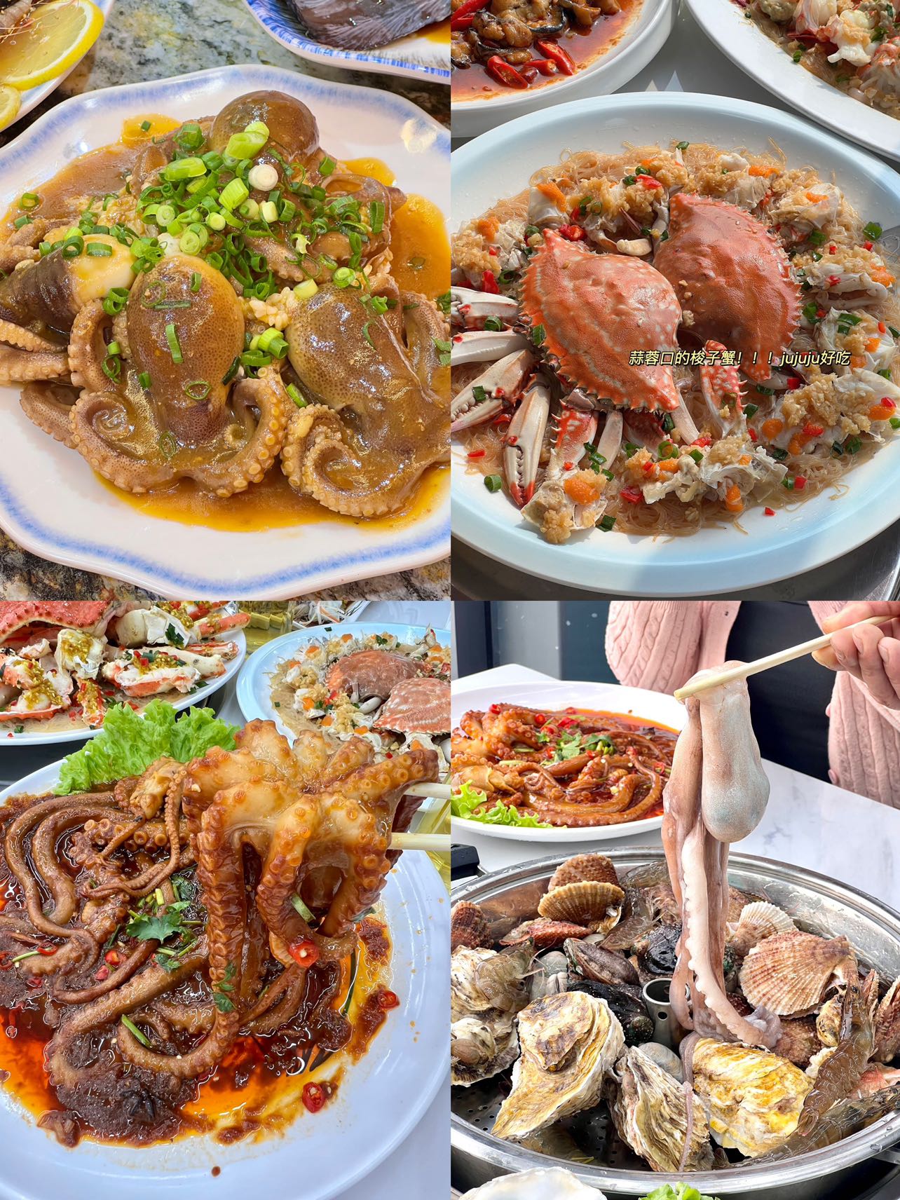 来旅游怎么能不尝尝日照当地海鲜🦞(⁎⁍̴̛ᴗ⁍̴