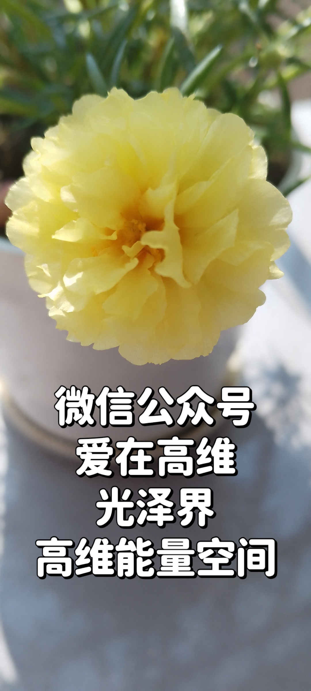 不信奉任何宗教,就信自己,相信心灵美才是真的美.