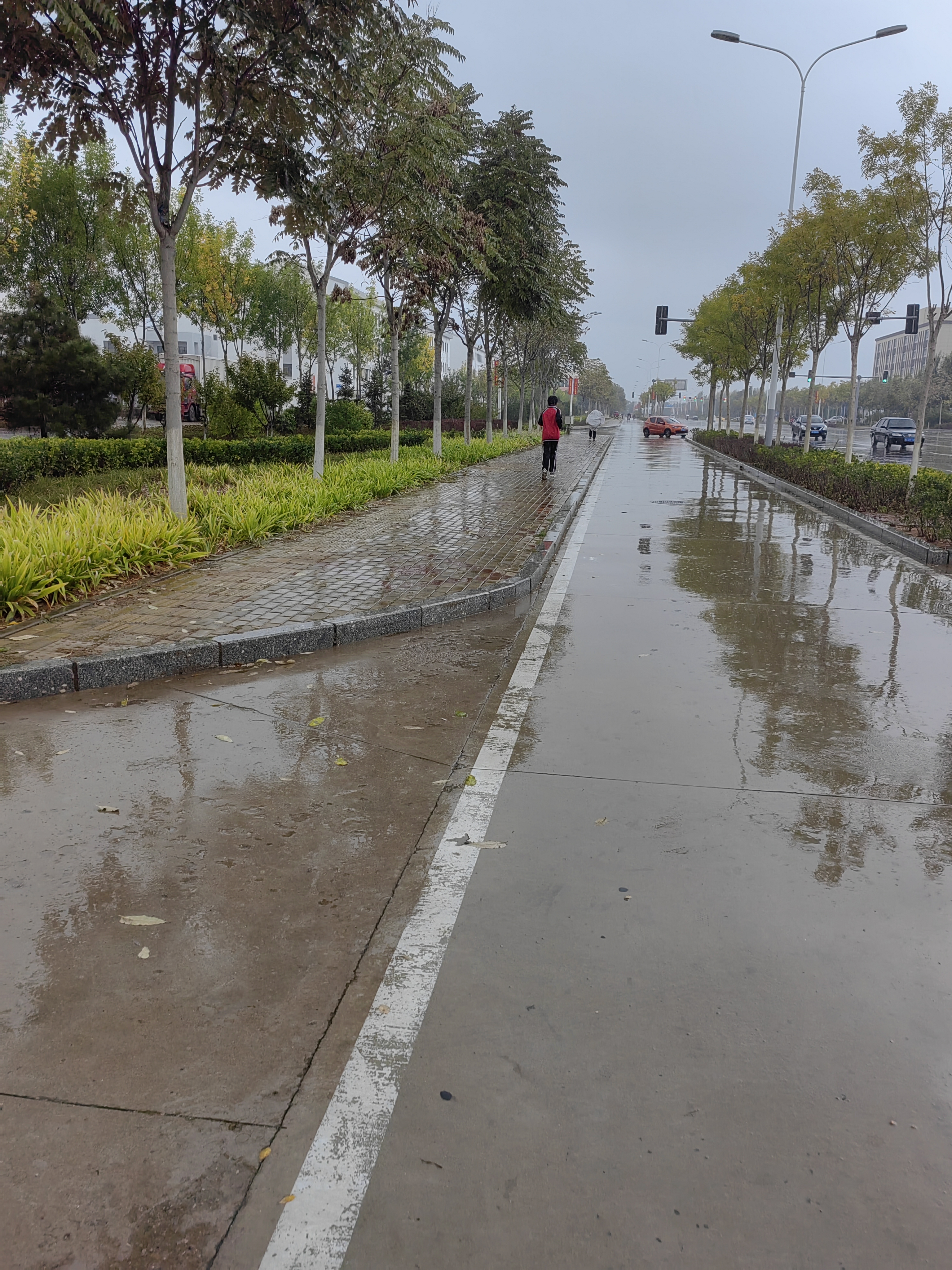 马路上下雨的真实照片图片