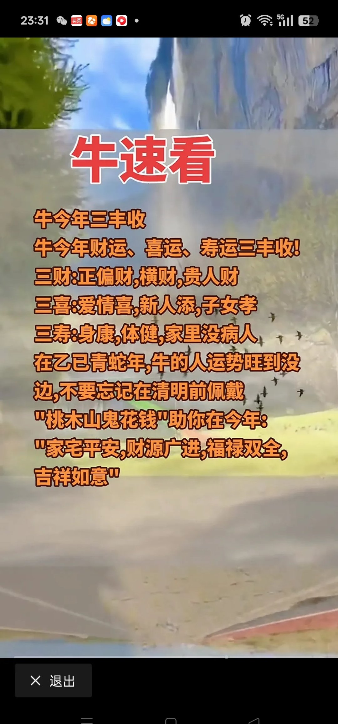 生肖牛不同年份出生运势(十二生肖属牛出生年份)