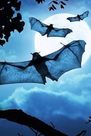 虽然雁么虎和燕模鼠发音很像,但是不能写成雁么虎