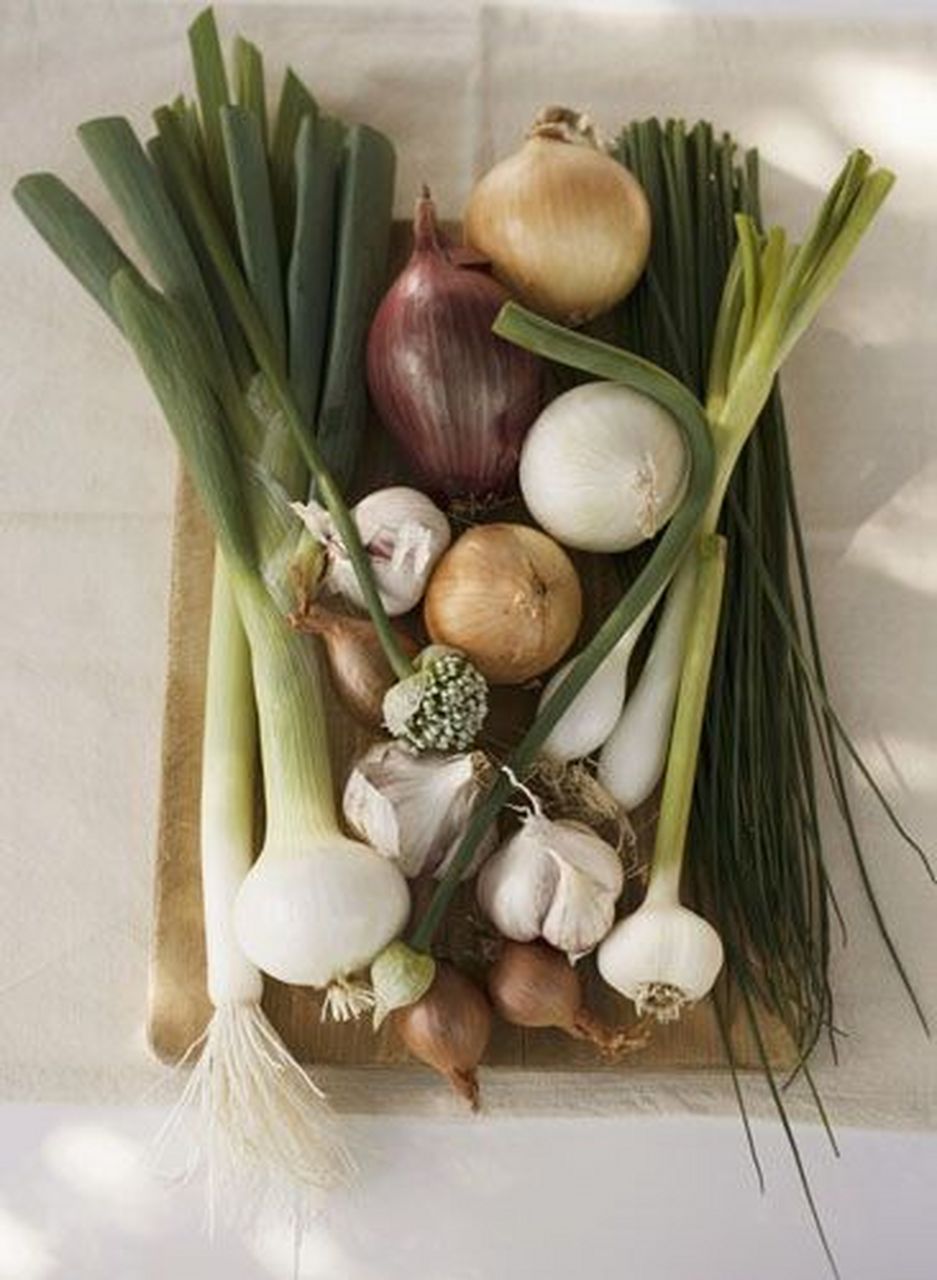 937_1280竖版 竖屏