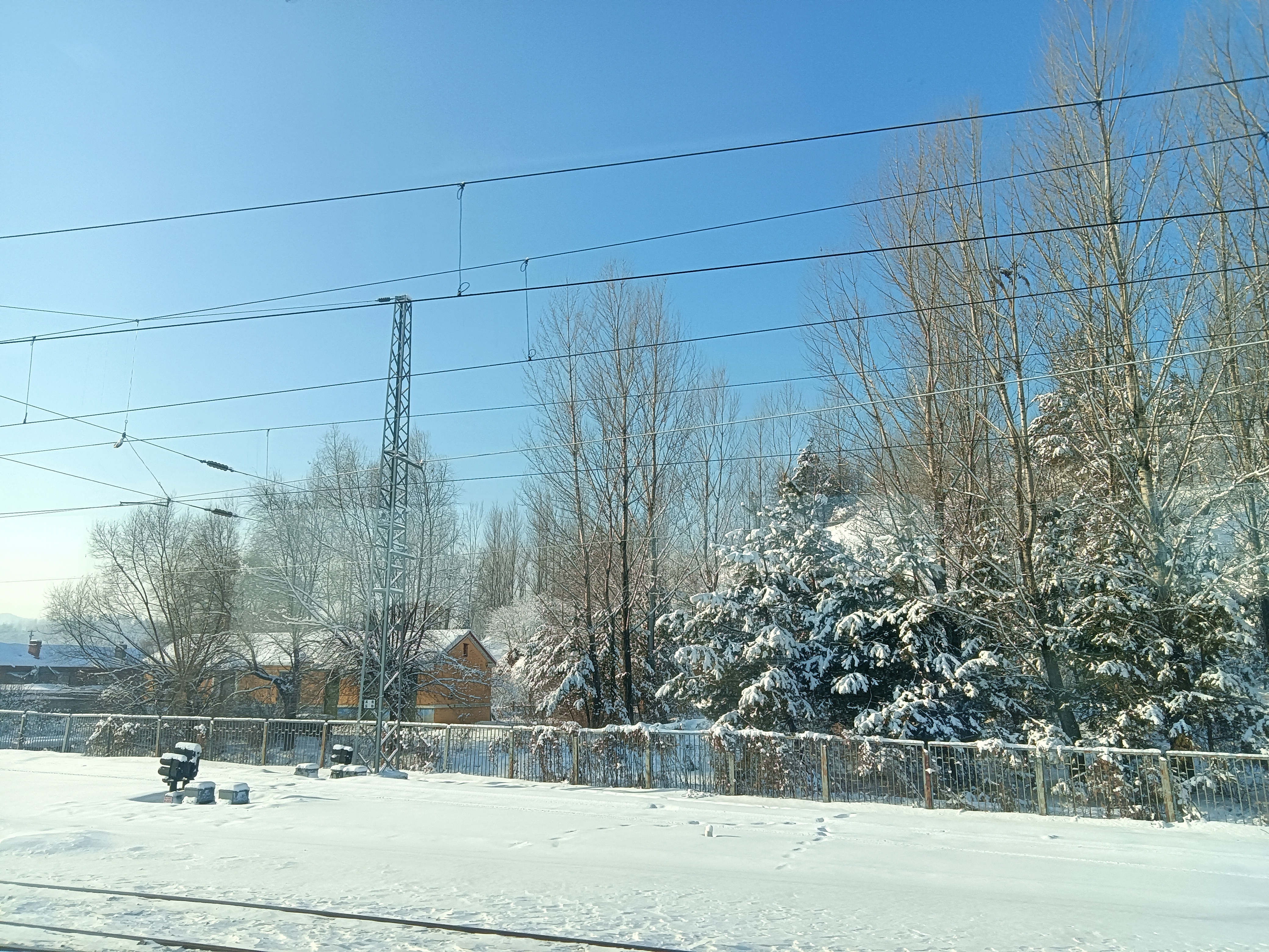 东北农村雪景