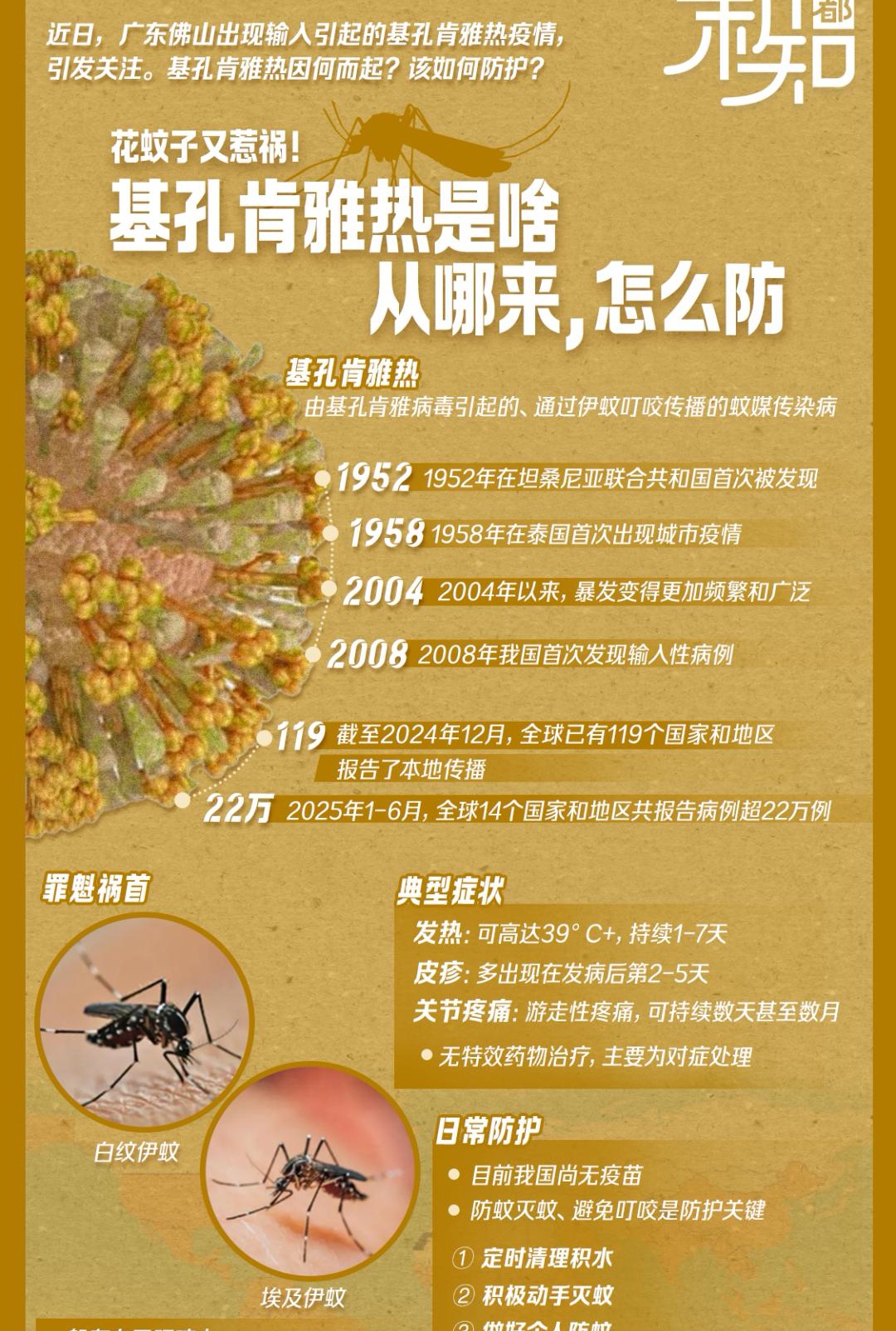 广东佛山疫情(广东佛山疫情今天新增多少)