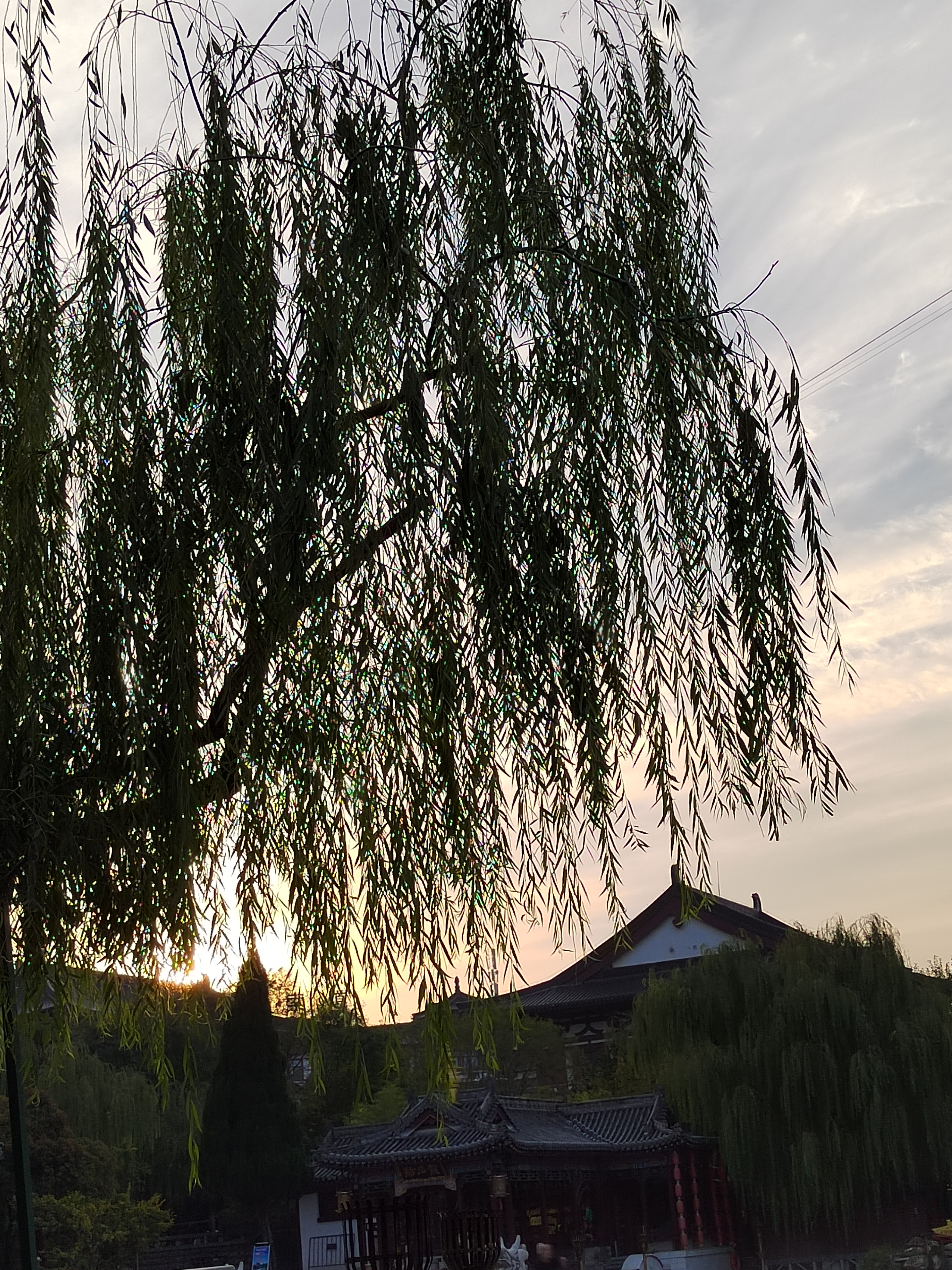 夕阳下的柳岸公园,波光粼粼,微风拂面,好不惬意.