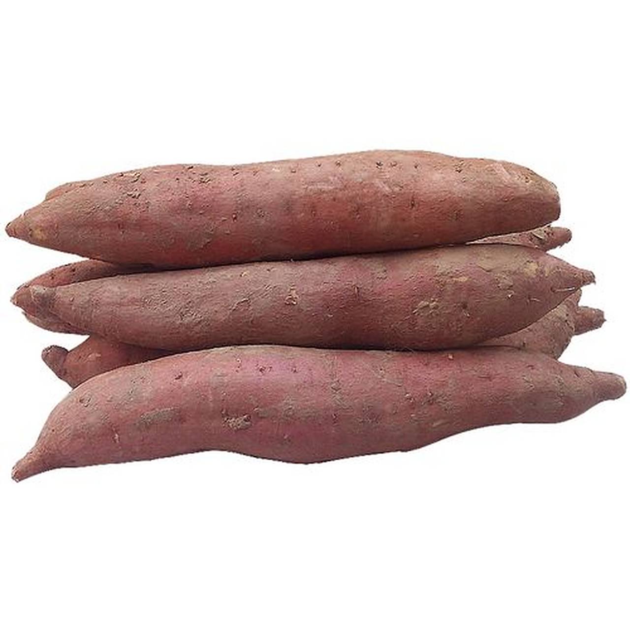 红薯简介  "浙薯13"是浙江省农科院选育的高产高淀粉加工型甘薯新品种