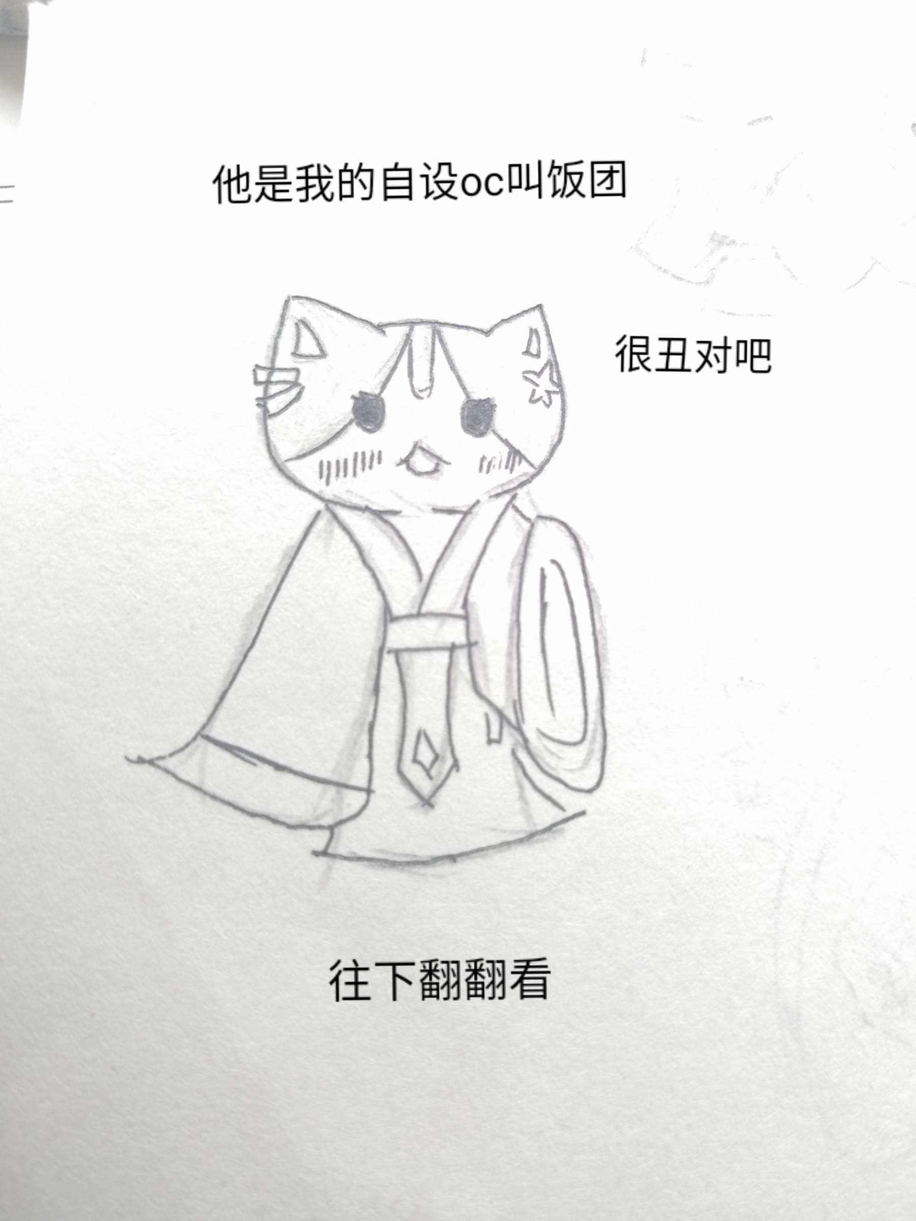因为画这些我都没有打草稿,是直接用圆珠笔画的,不好看很正常.