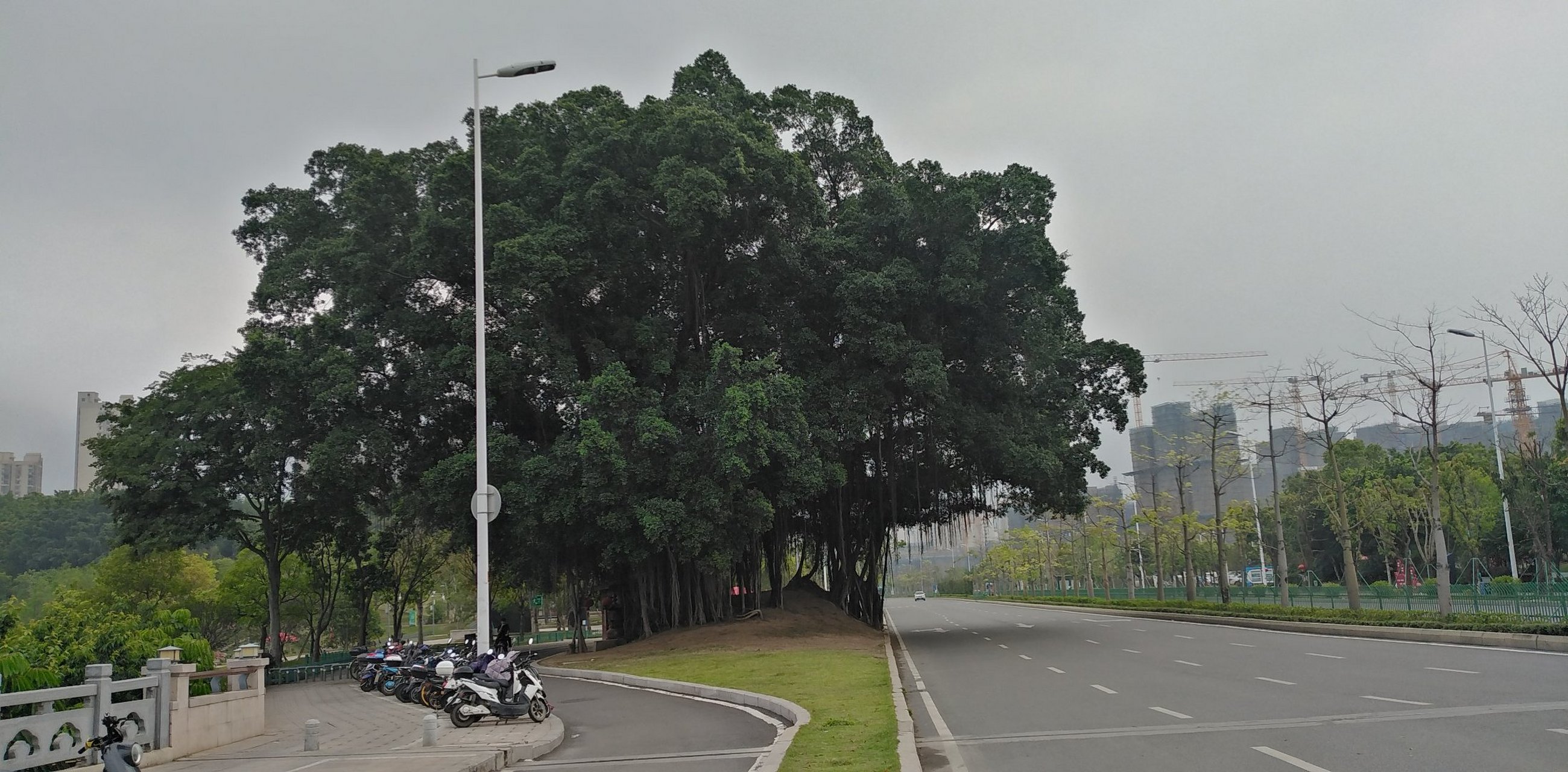 泗洲文佛是我国东南沿海的早期"海神男像观音"供奉僧伽 (公元628—710