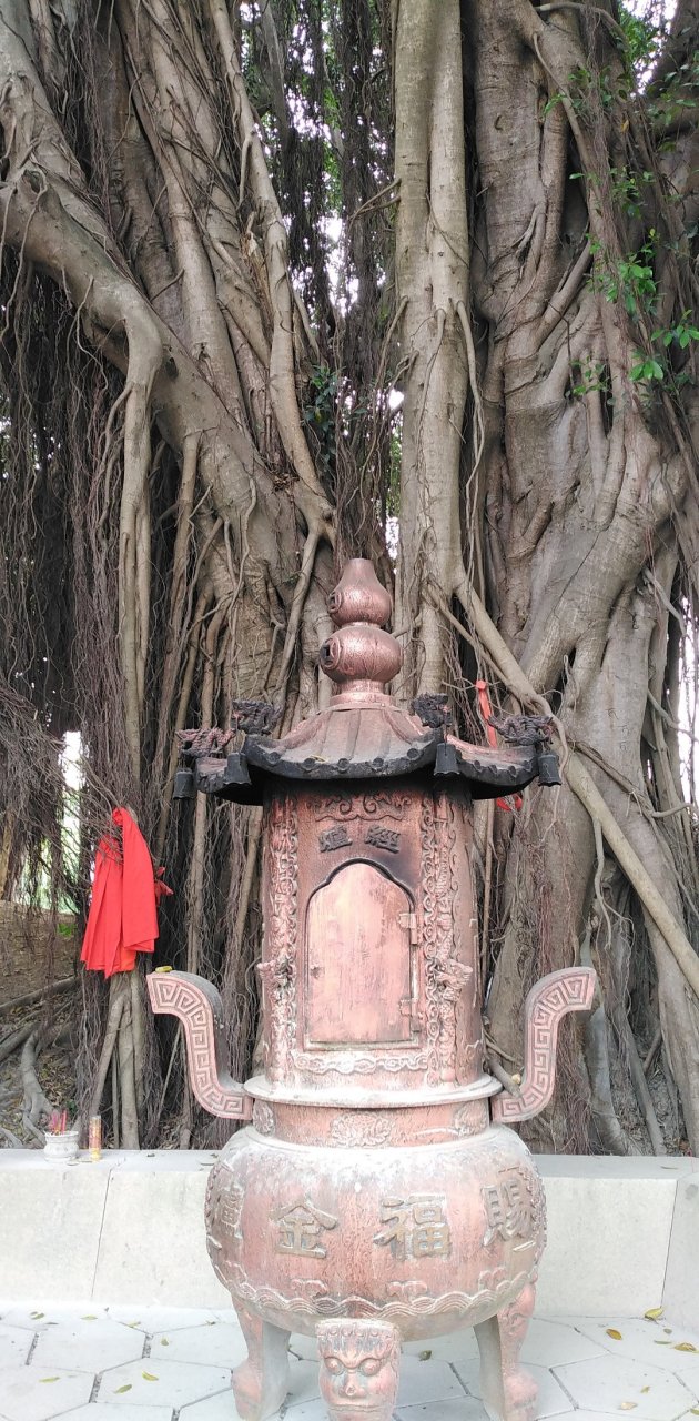 泗洲文佛是我国东南沿海的早期"海神男像观音"供奉僧伽 (公元628—710