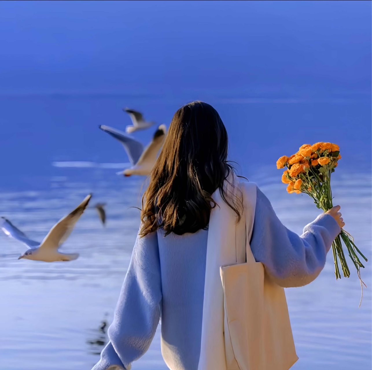 天气不错,心情不错,宜睡觉