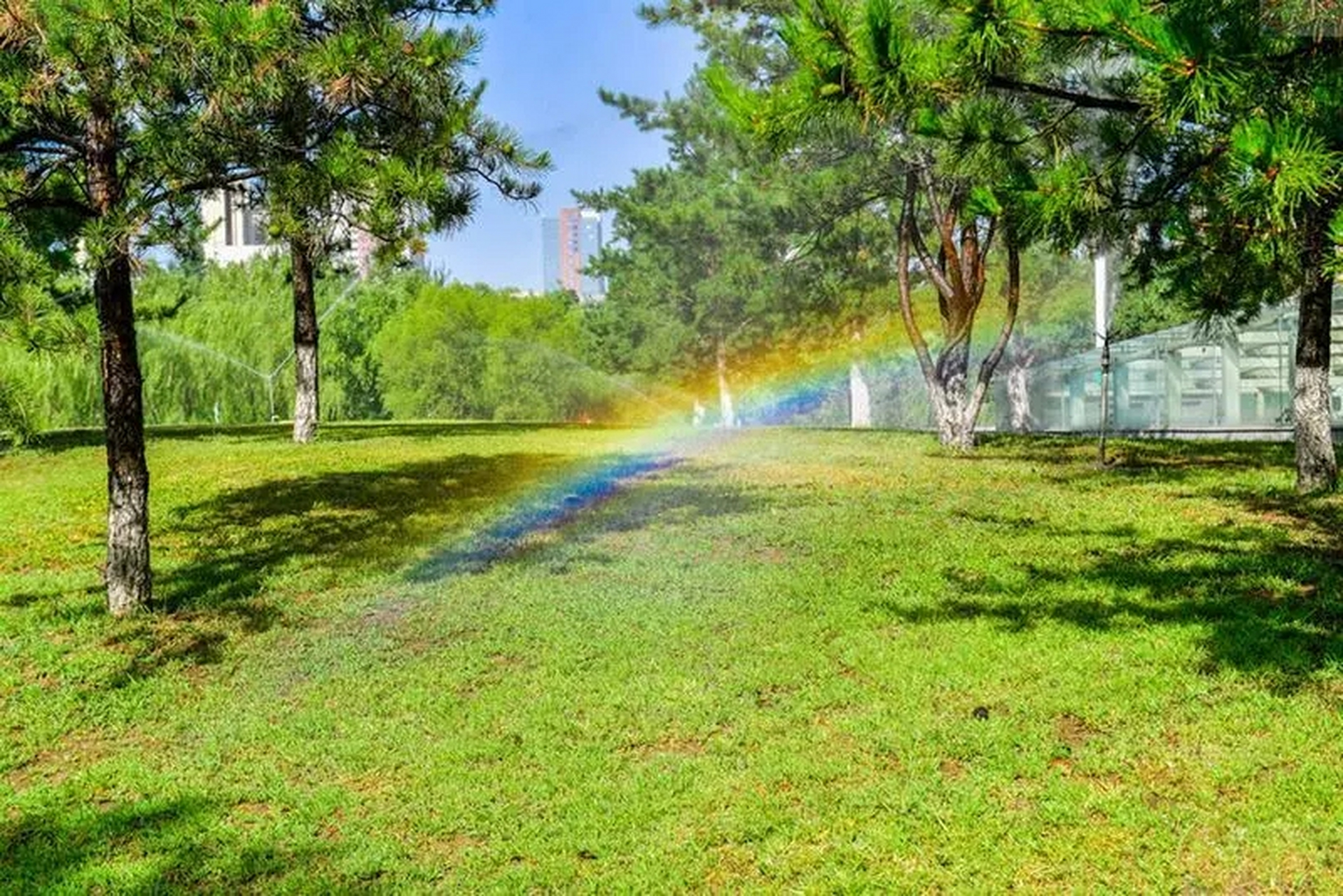 榆林榆溪河生态走廊岸绿景美