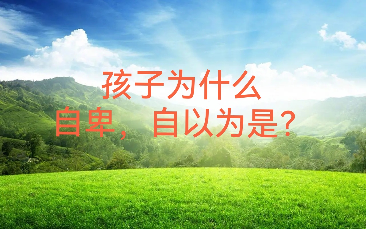 自卑是因为自尊什么意思为什么在线