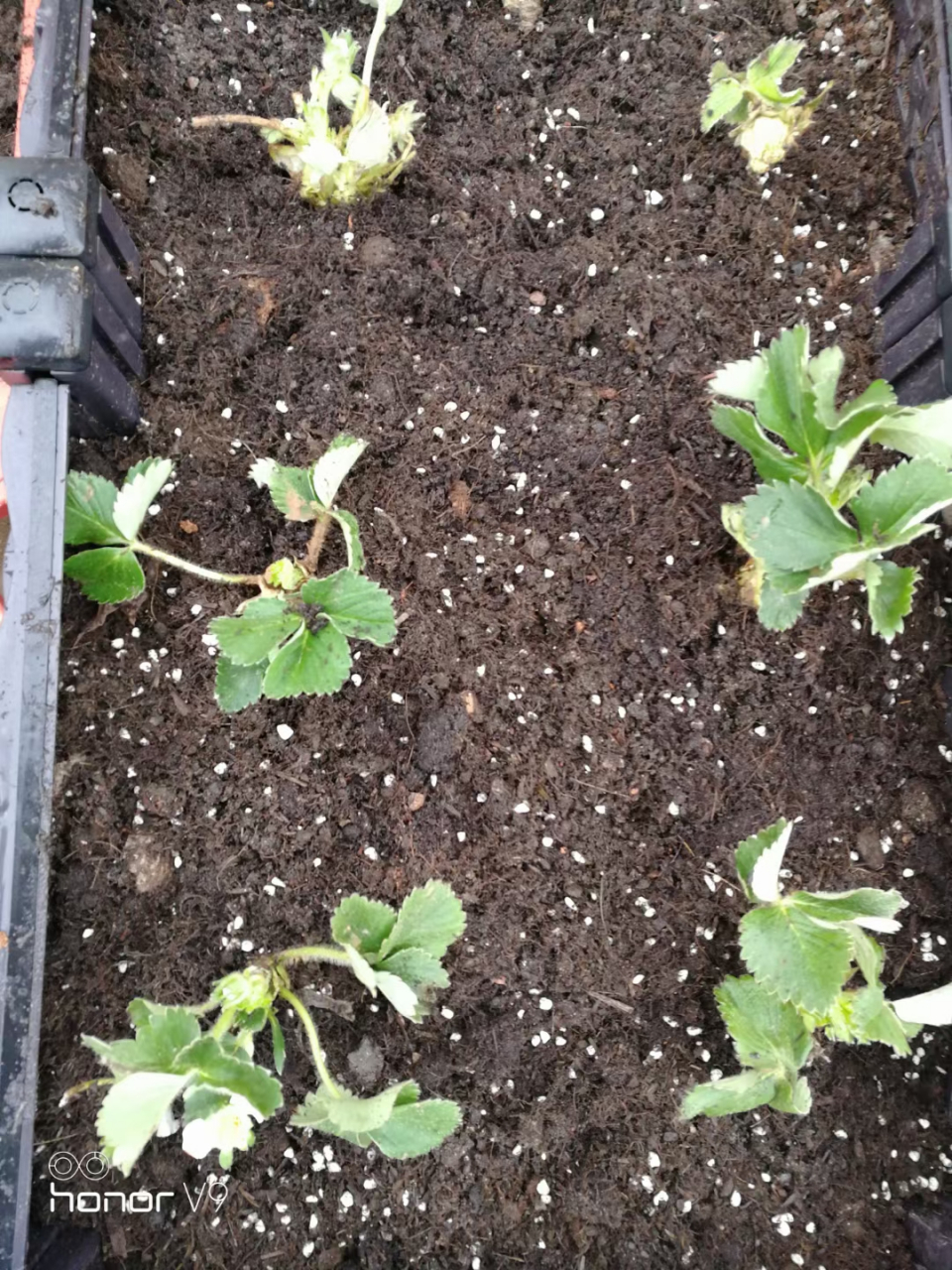 听单田芳老先生讲龙虎风云会里一回书,说翻江鼠蒋平因公务来到了