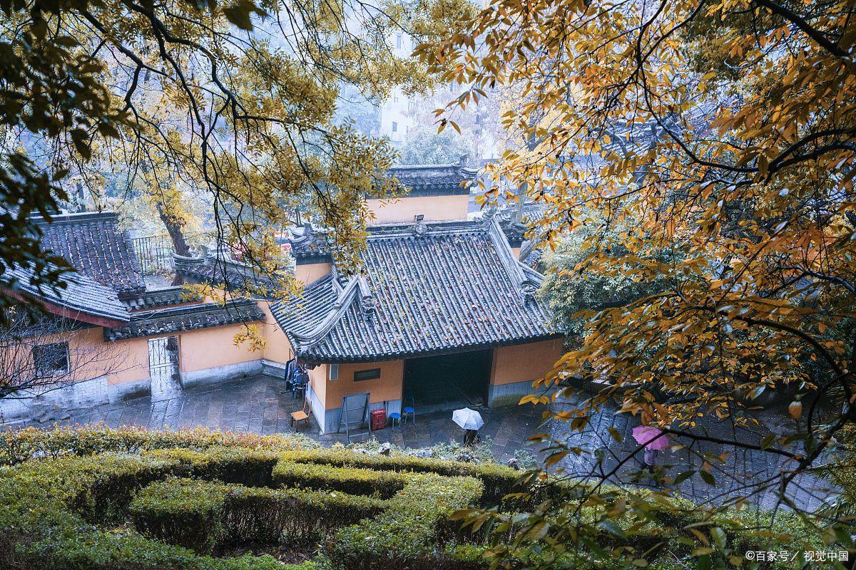 无根树,花正红,摘尽红花一树空. 空即色,色即空,识破真空在色中